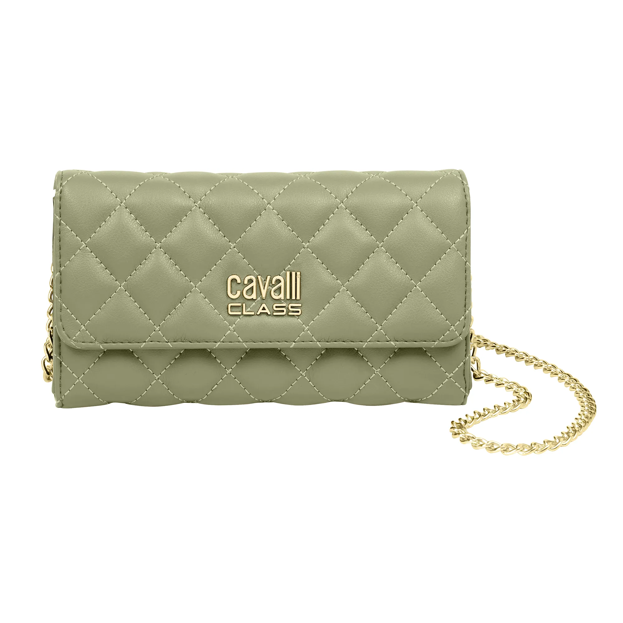 Watch CAVALLI CLASS Bags cchb01252500