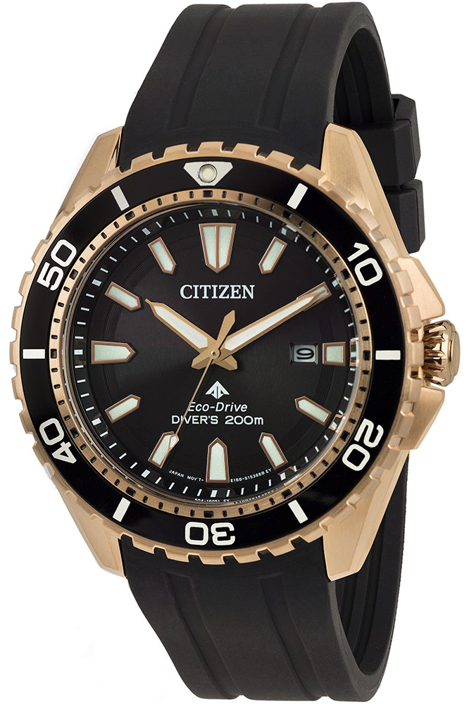 Watch Citizen bn0193-17e