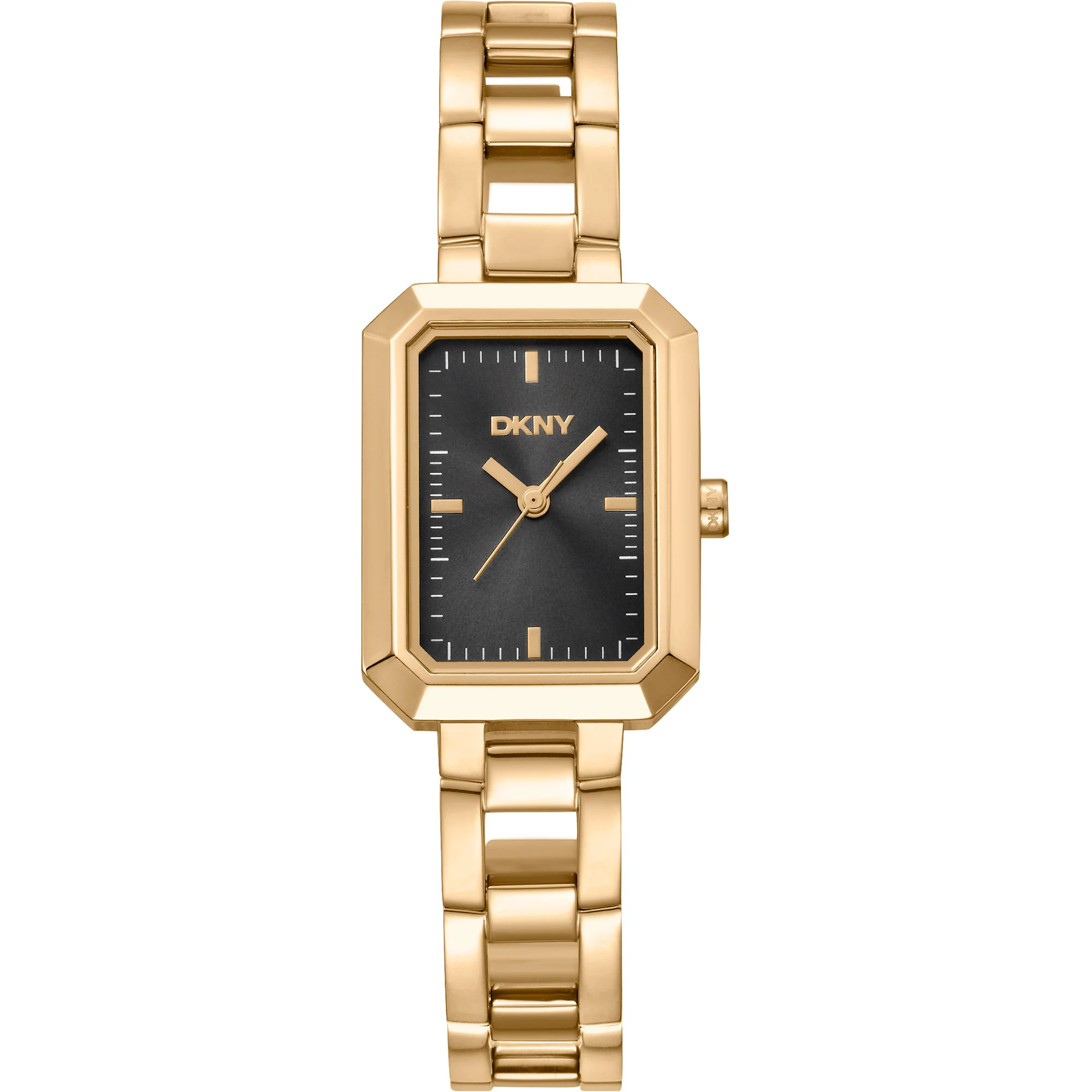 Watch DKNY dk1l009m0015