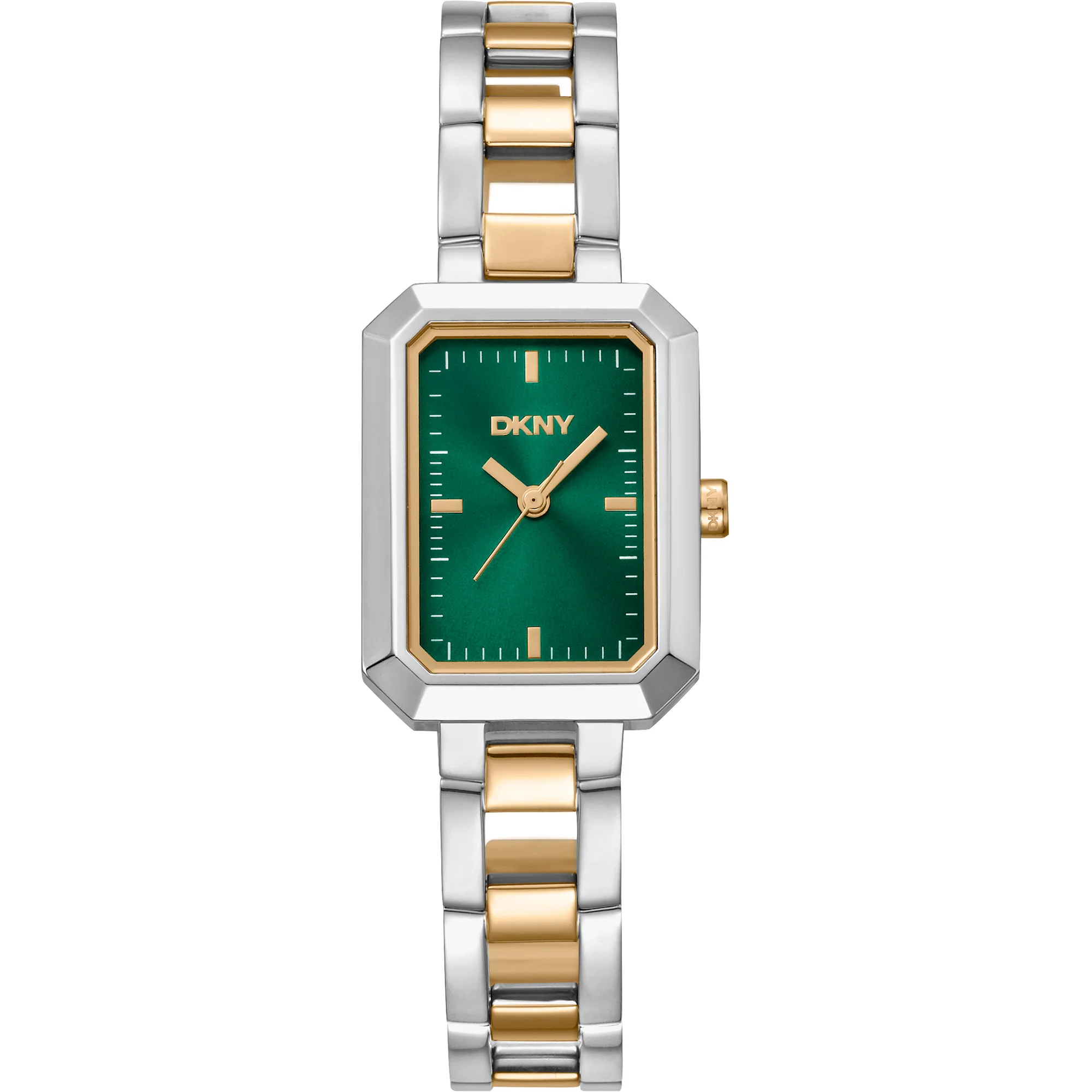 Watch DKNY dk1l009m0025