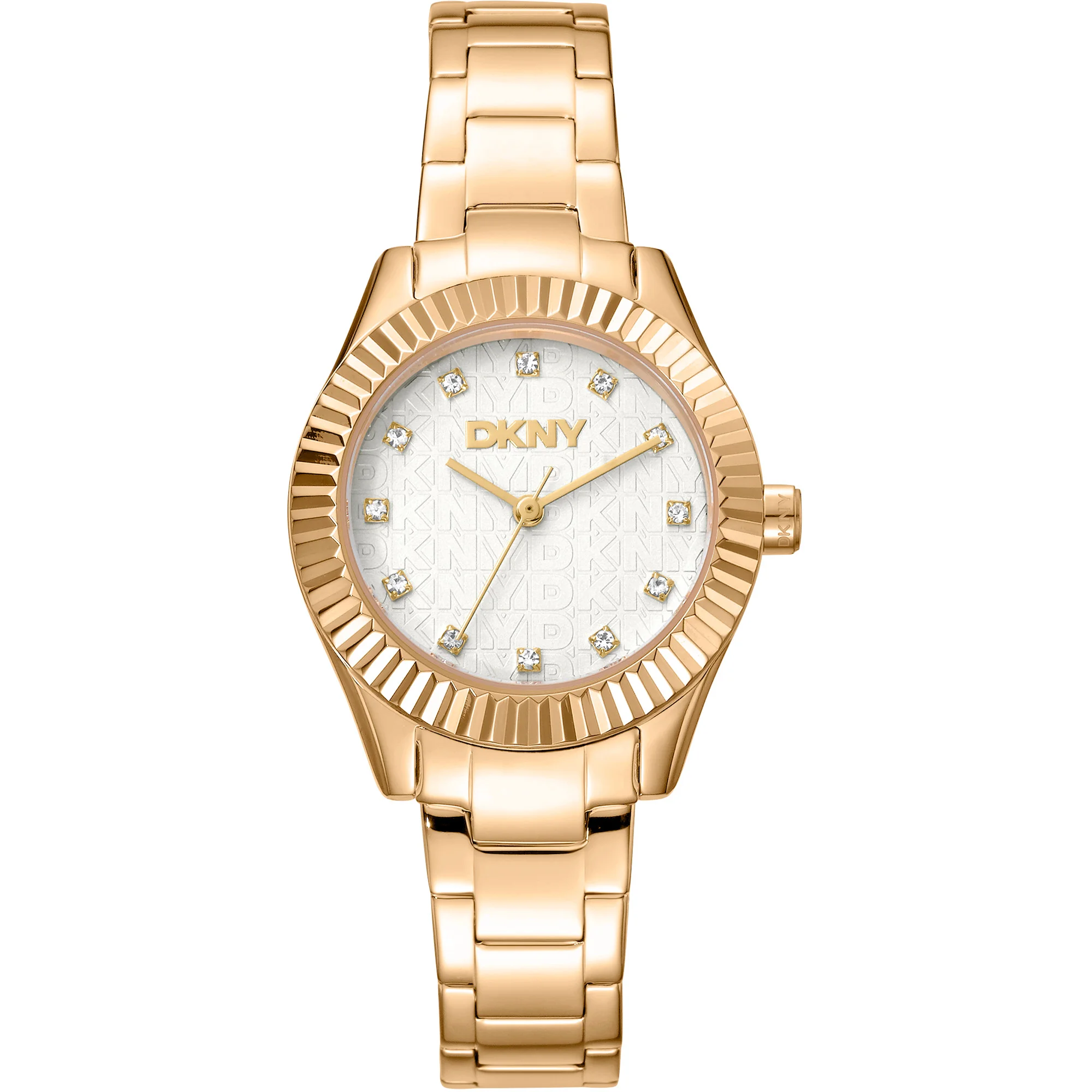 Watch DKNY dk1l017m0055