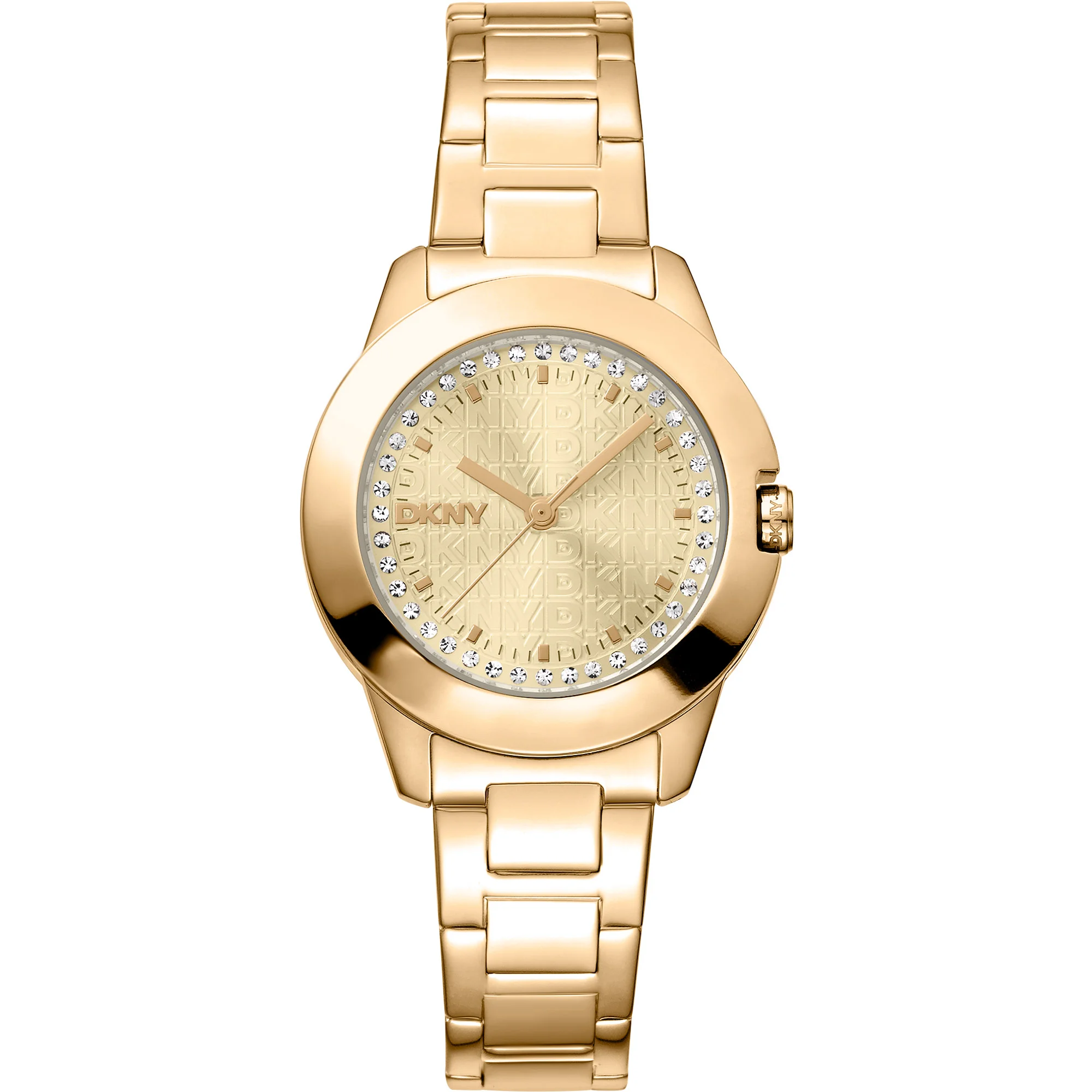 Watch DKNY dk1l021m0055