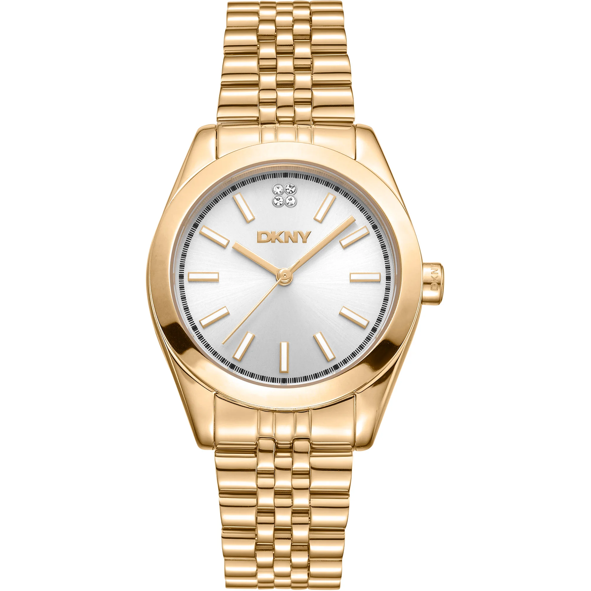 Watch DKNY dk1l029m0055