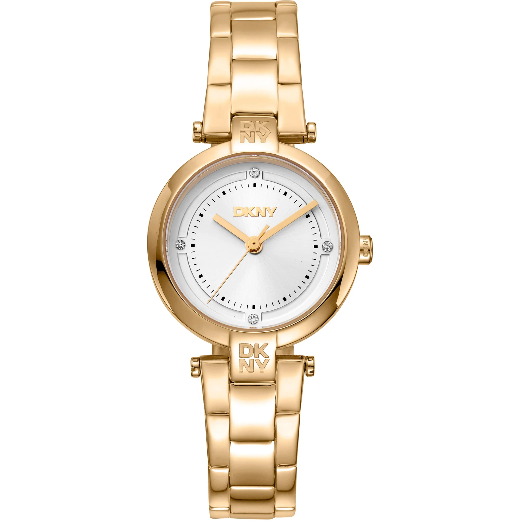 Watch DKNY dk1l043m0055