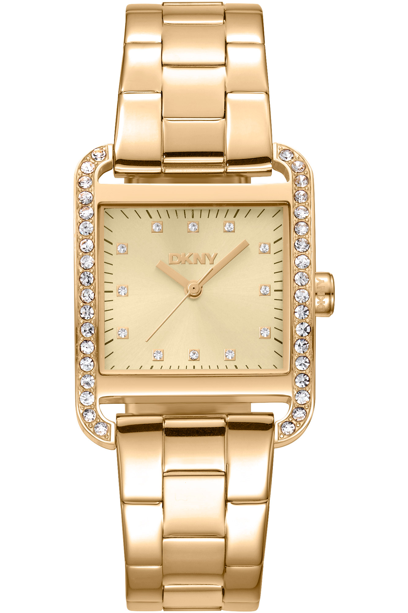 Watch DKNY dk1l003m0025