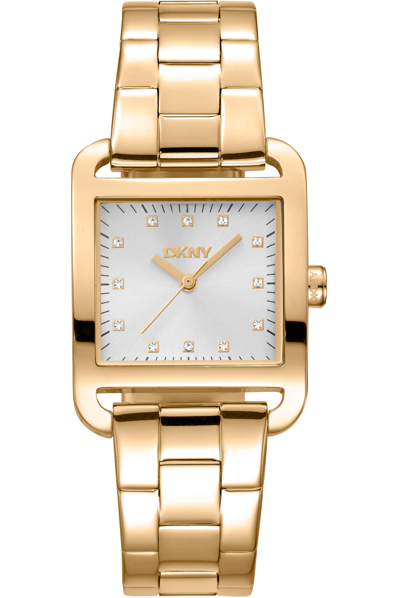 Watch DKNY dk1l004m0055