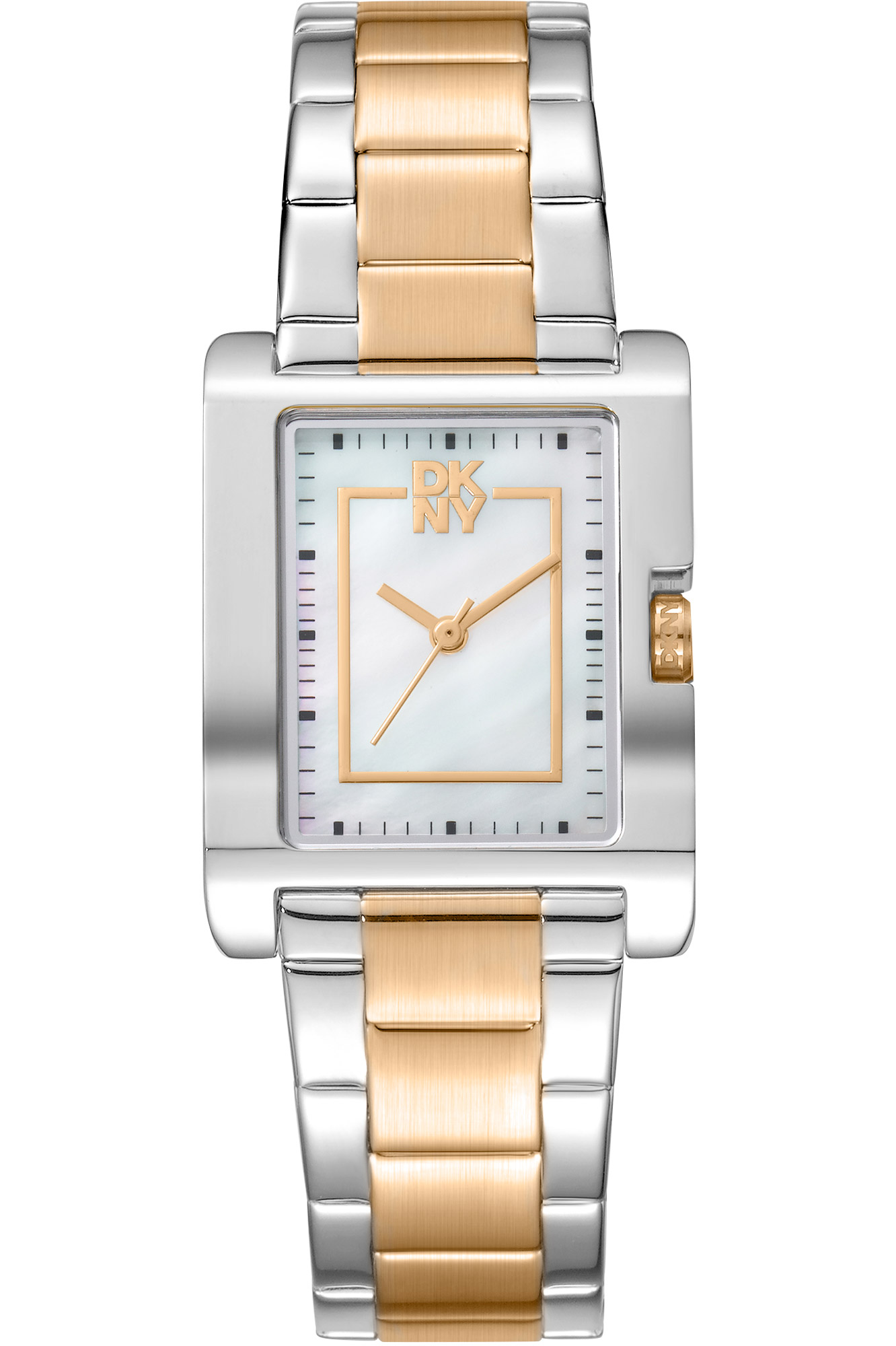 Watch DKNY dk1l007m0085