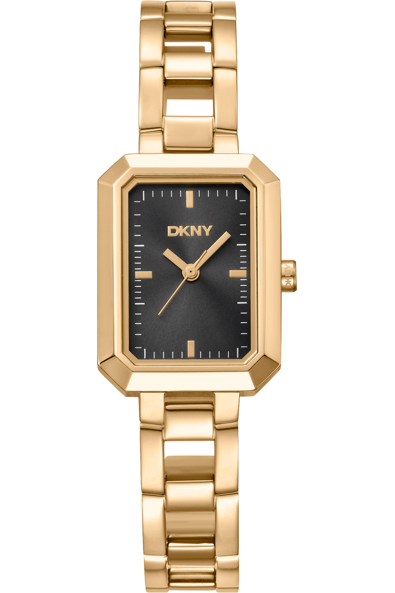 Montre DKNY dk1l009m0015