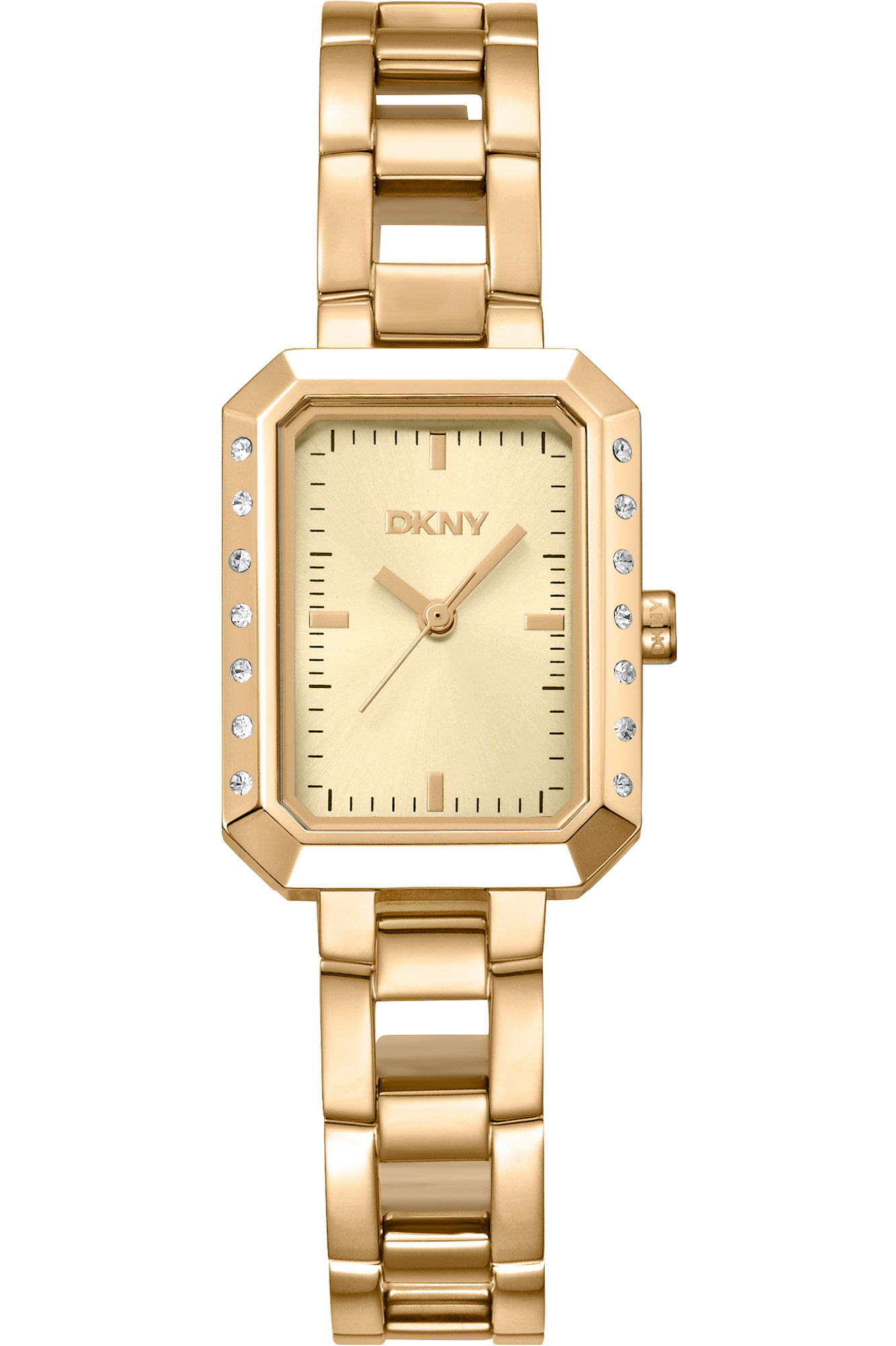 Watch DKNY dk1l010m0025