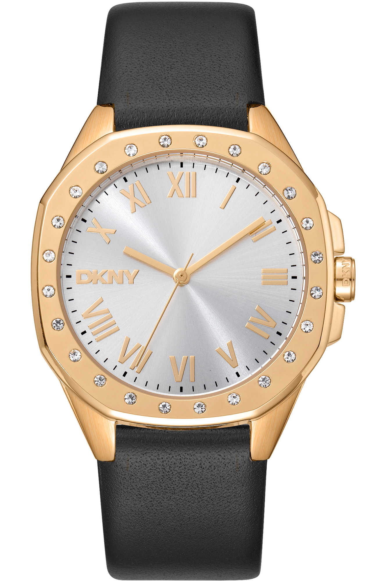 Watch DKNY dk1l011l0025