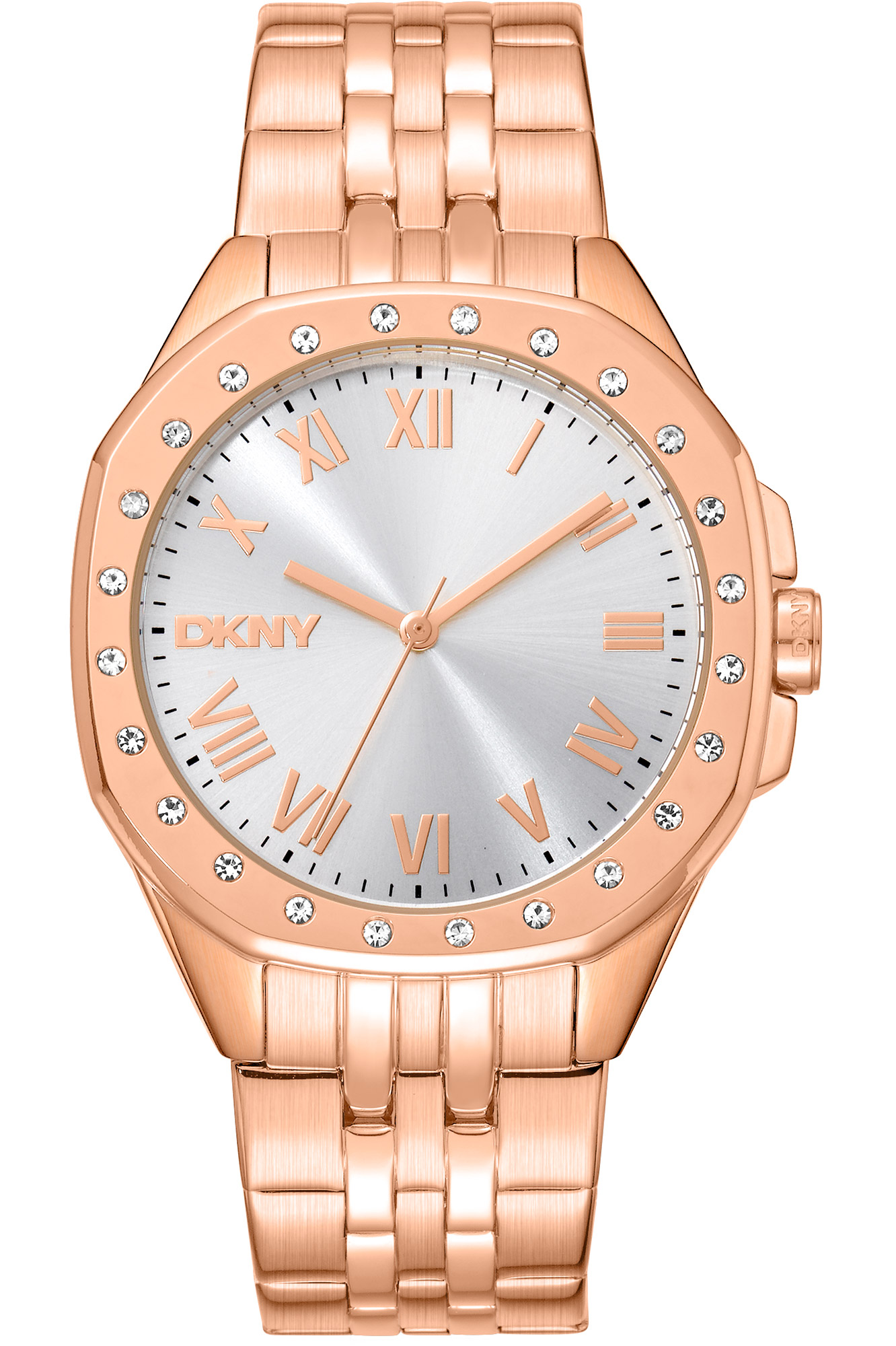 Watch DKNY dk1l011m0055