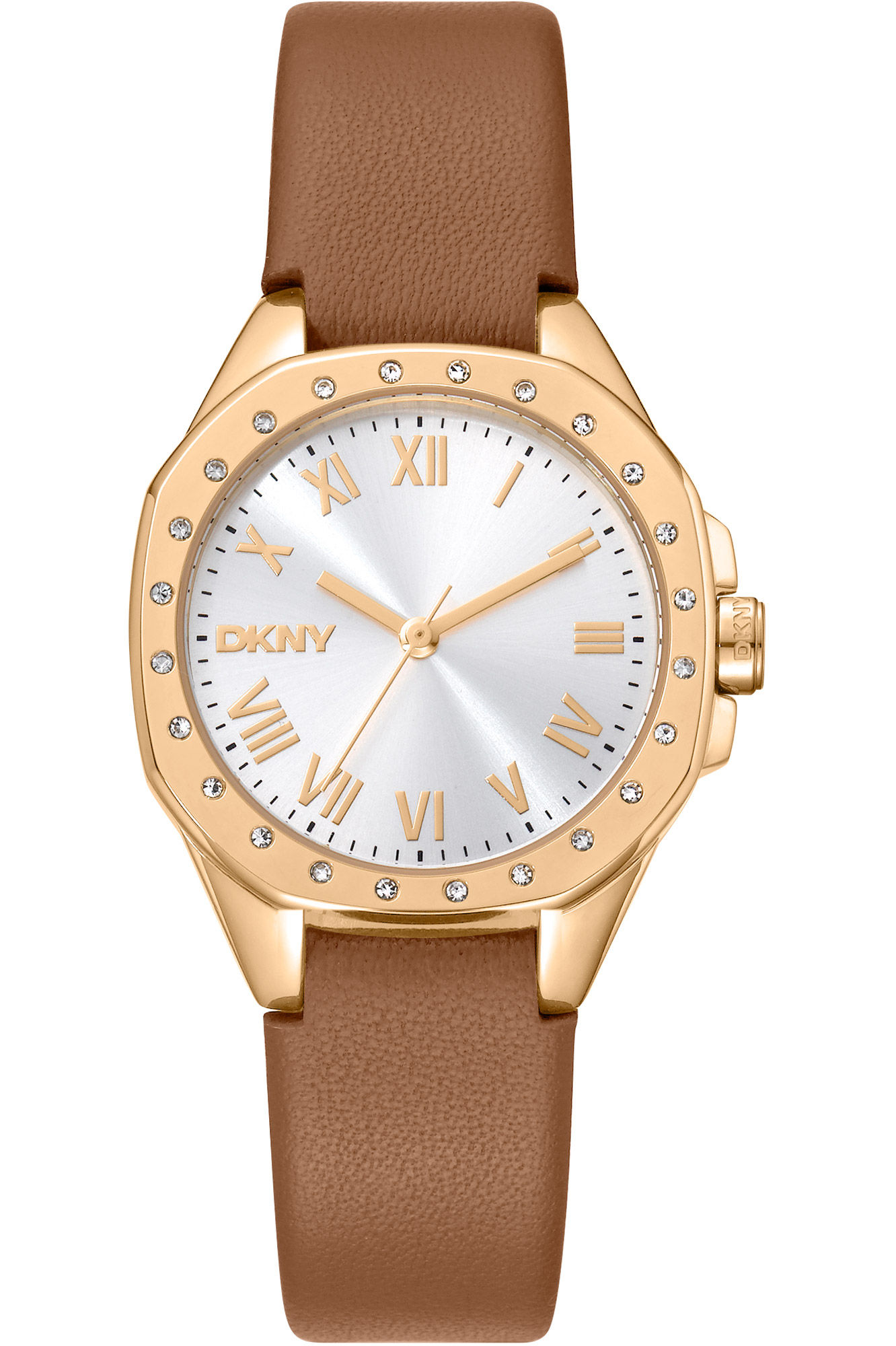 Watch DKNY dk1l013l0025