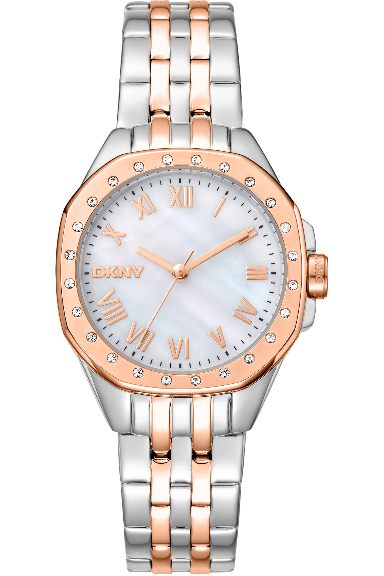 Watch DKNY dk1l013m0105