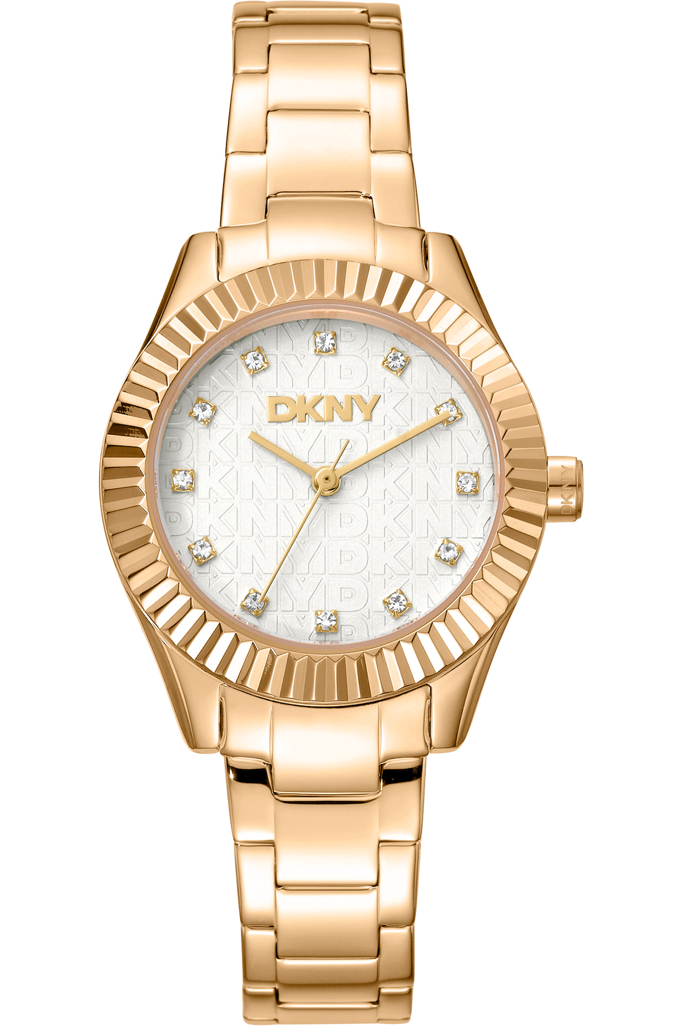 Watch DKNY dk1l017m0055