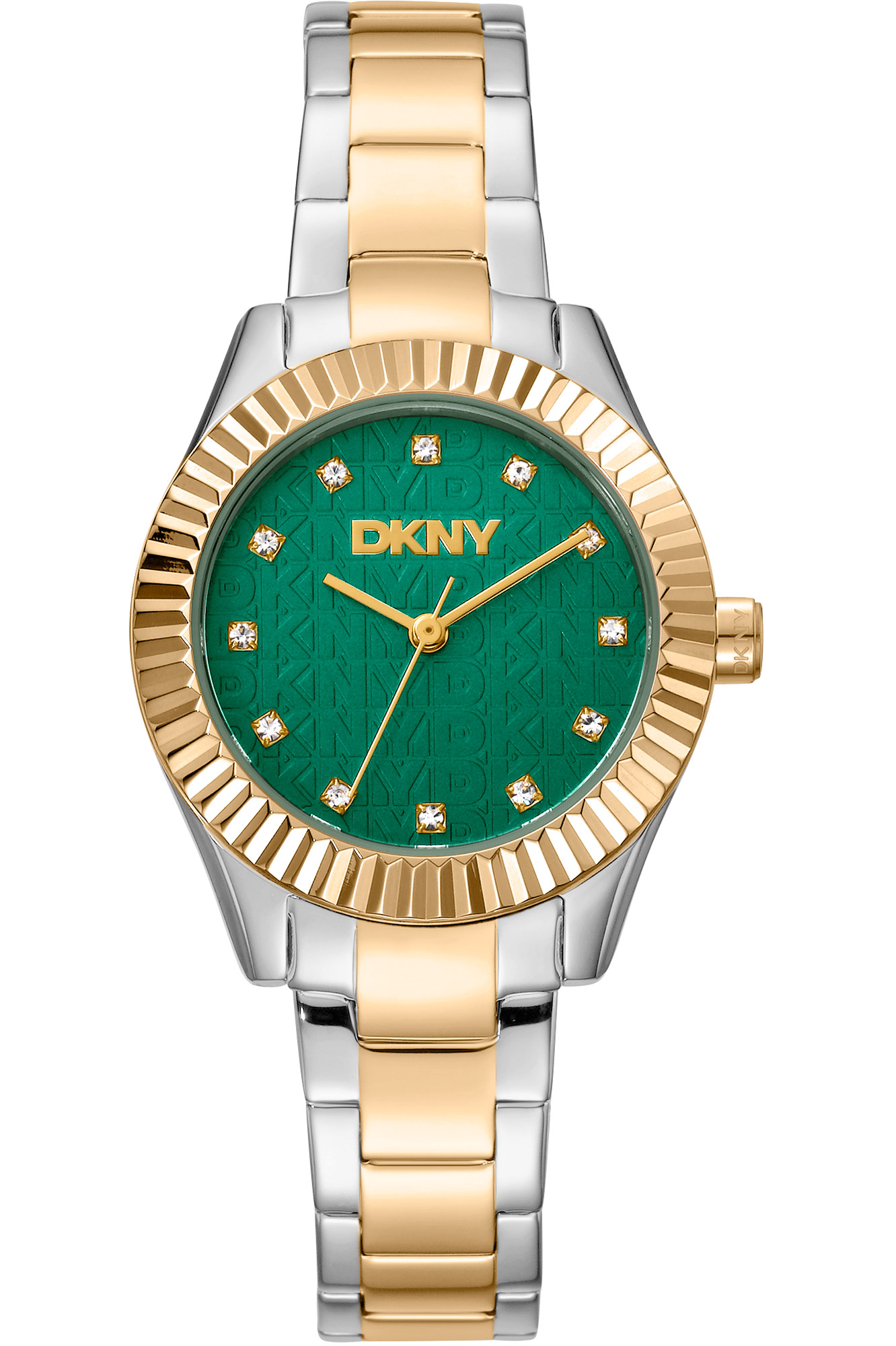 Watch DKNY dk1l017m0085