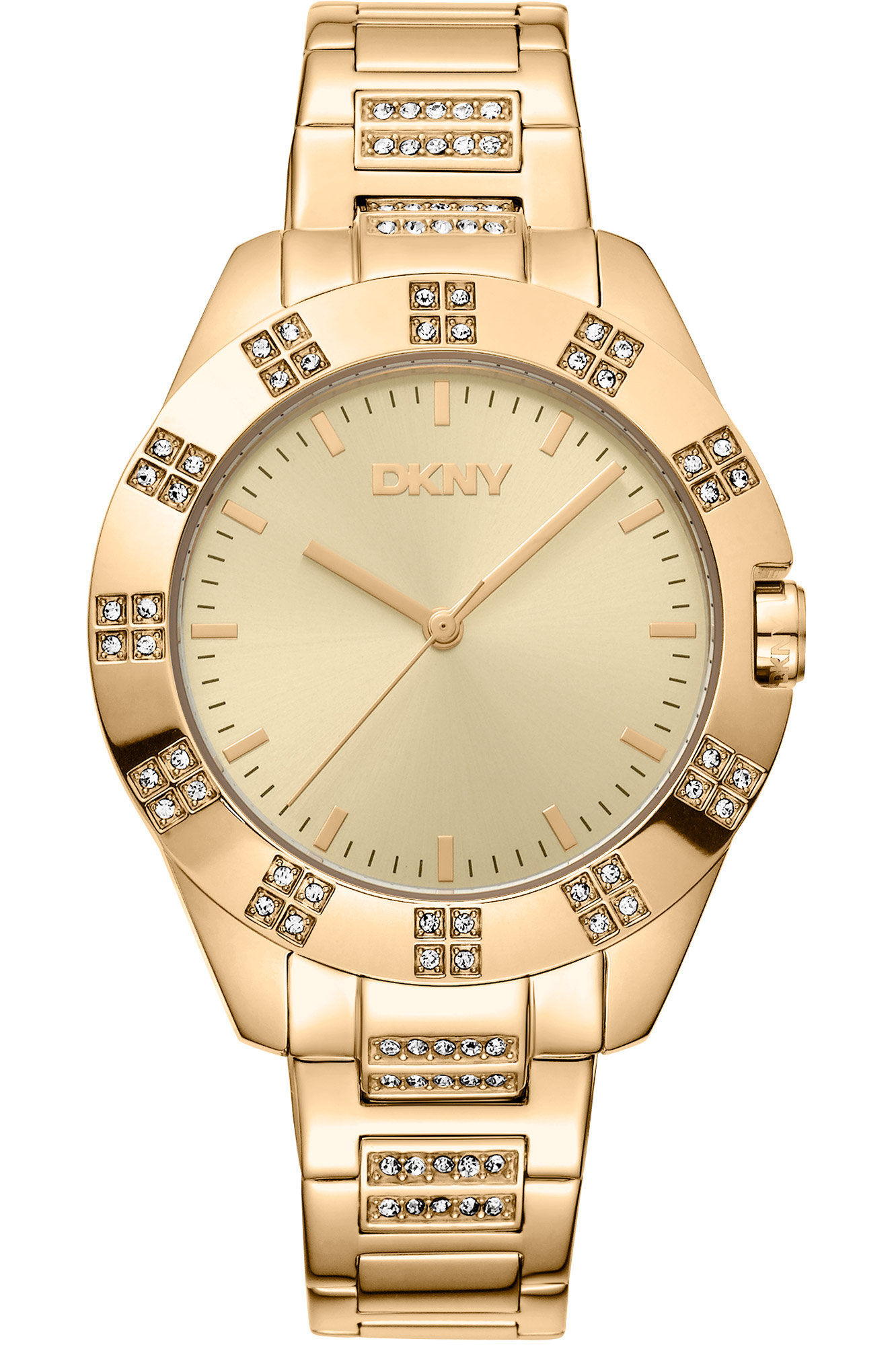 Watch DKNY dk1l019m0035