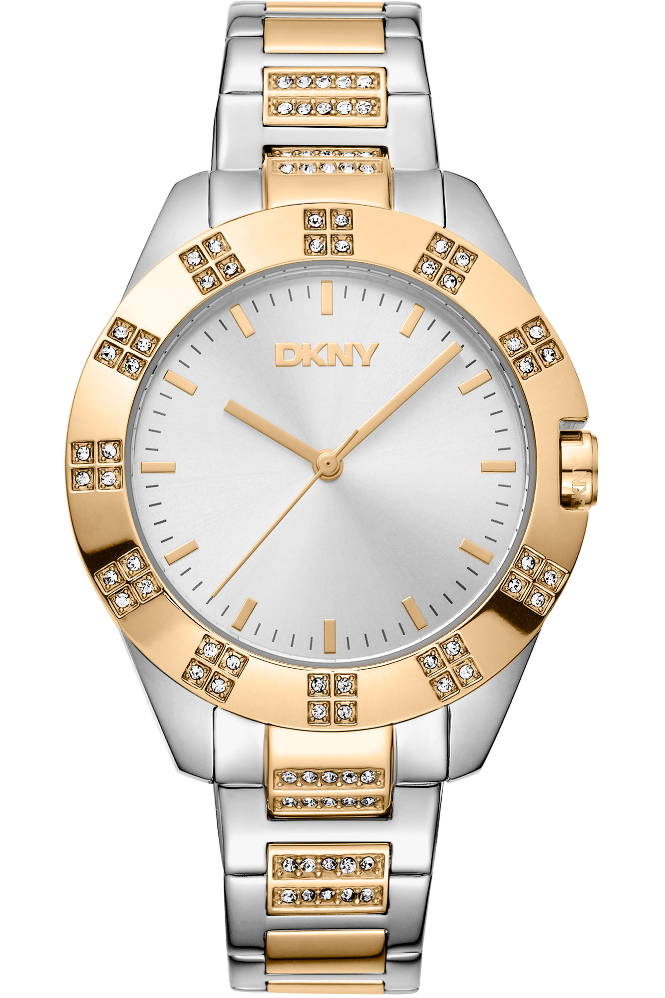Watch DKNY dk1l019m0055