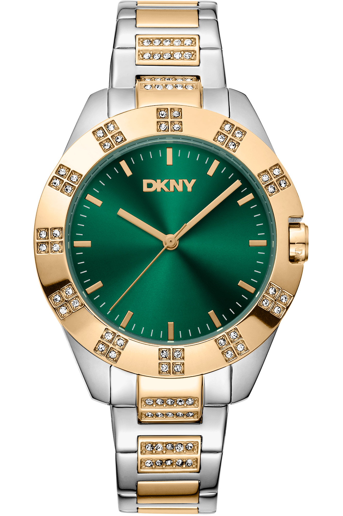 Watch DKNY dk1l019m0065