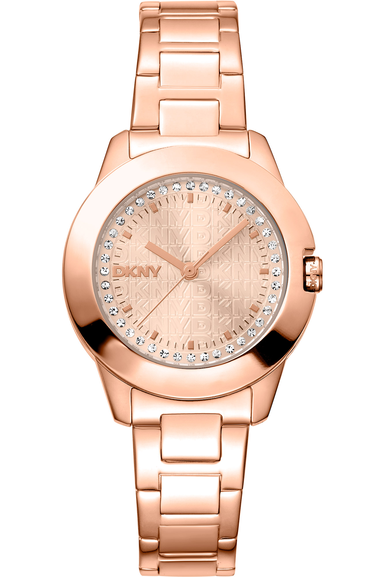 Watch DKNY dk1l021m0065