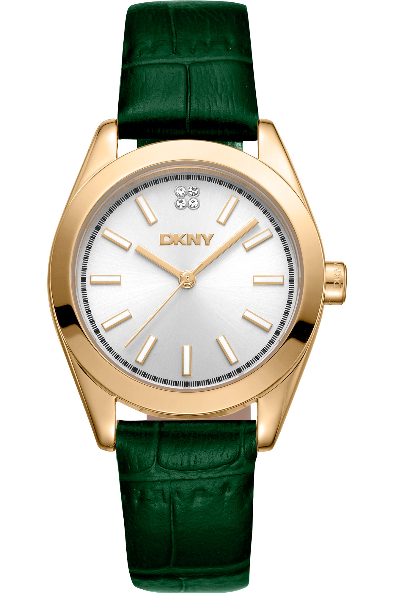 Watch DKNY dk1l029l0025