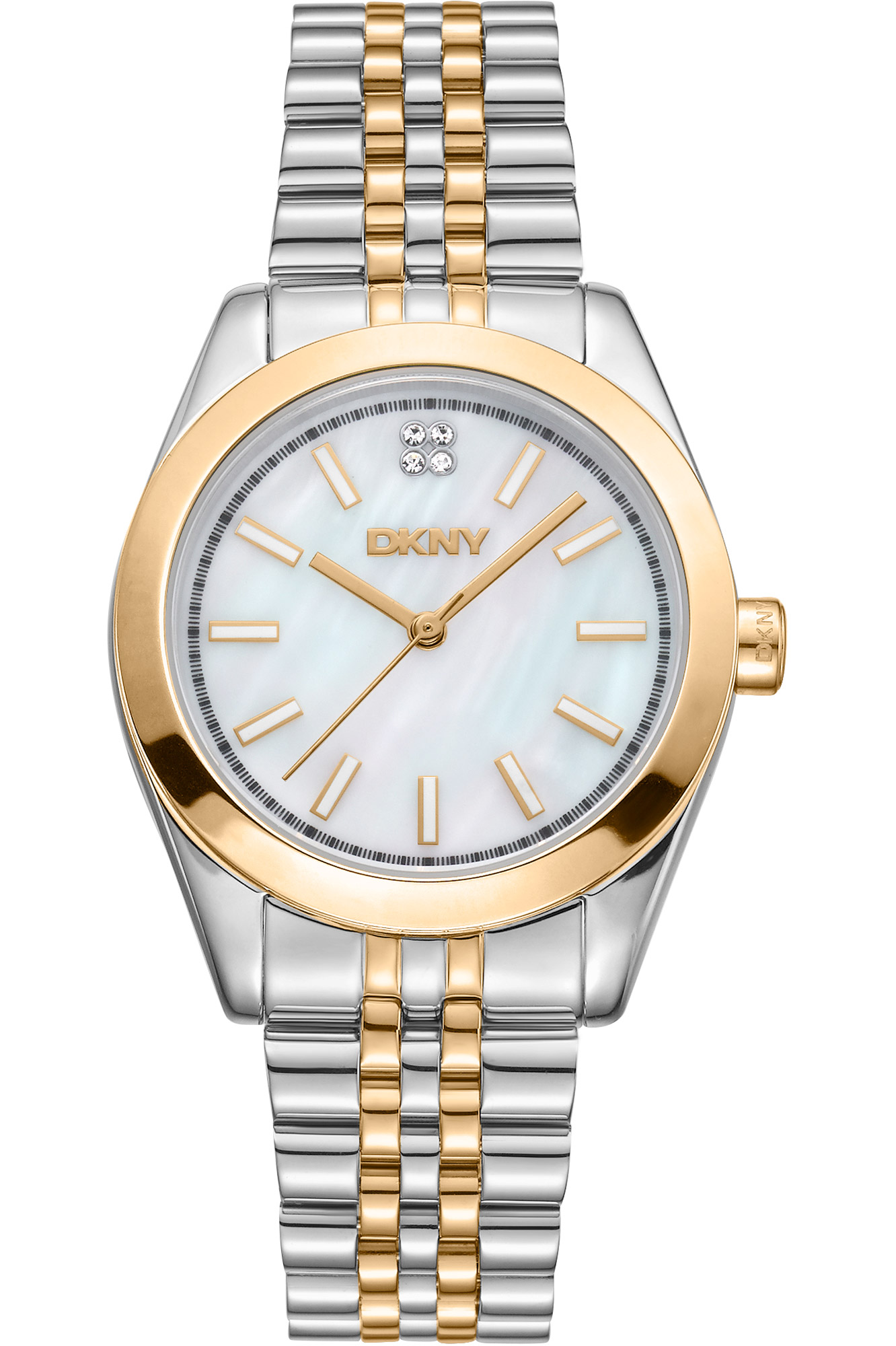 Watch DKNY dk1l029m0075