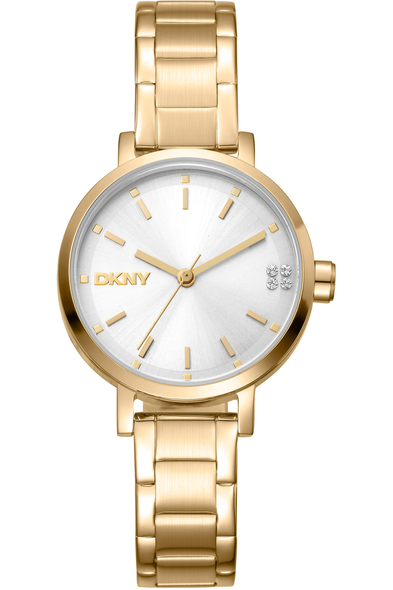 Watch DKNY dk1l038m0055