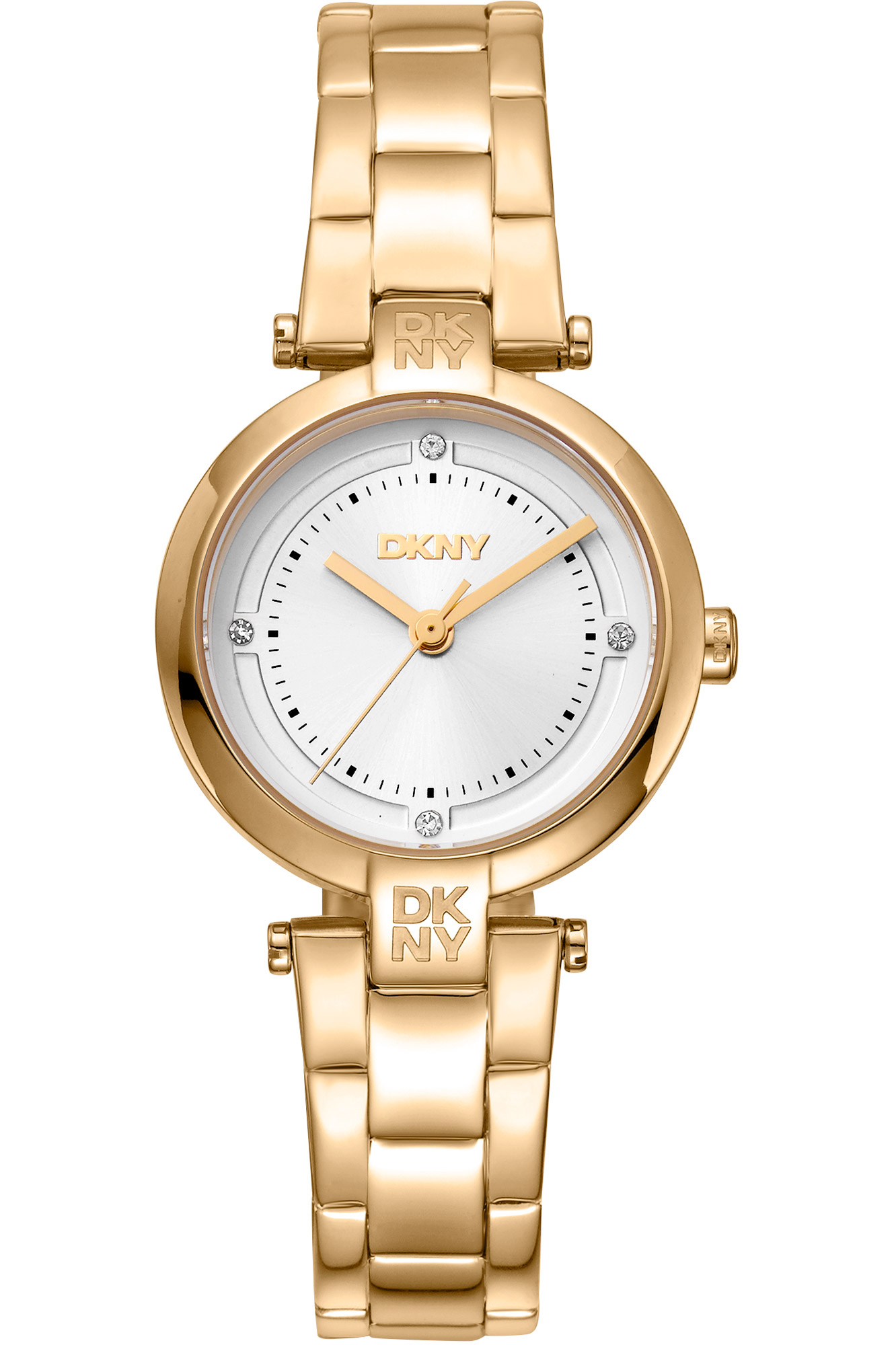 Watch DKNY dk1l043m0055