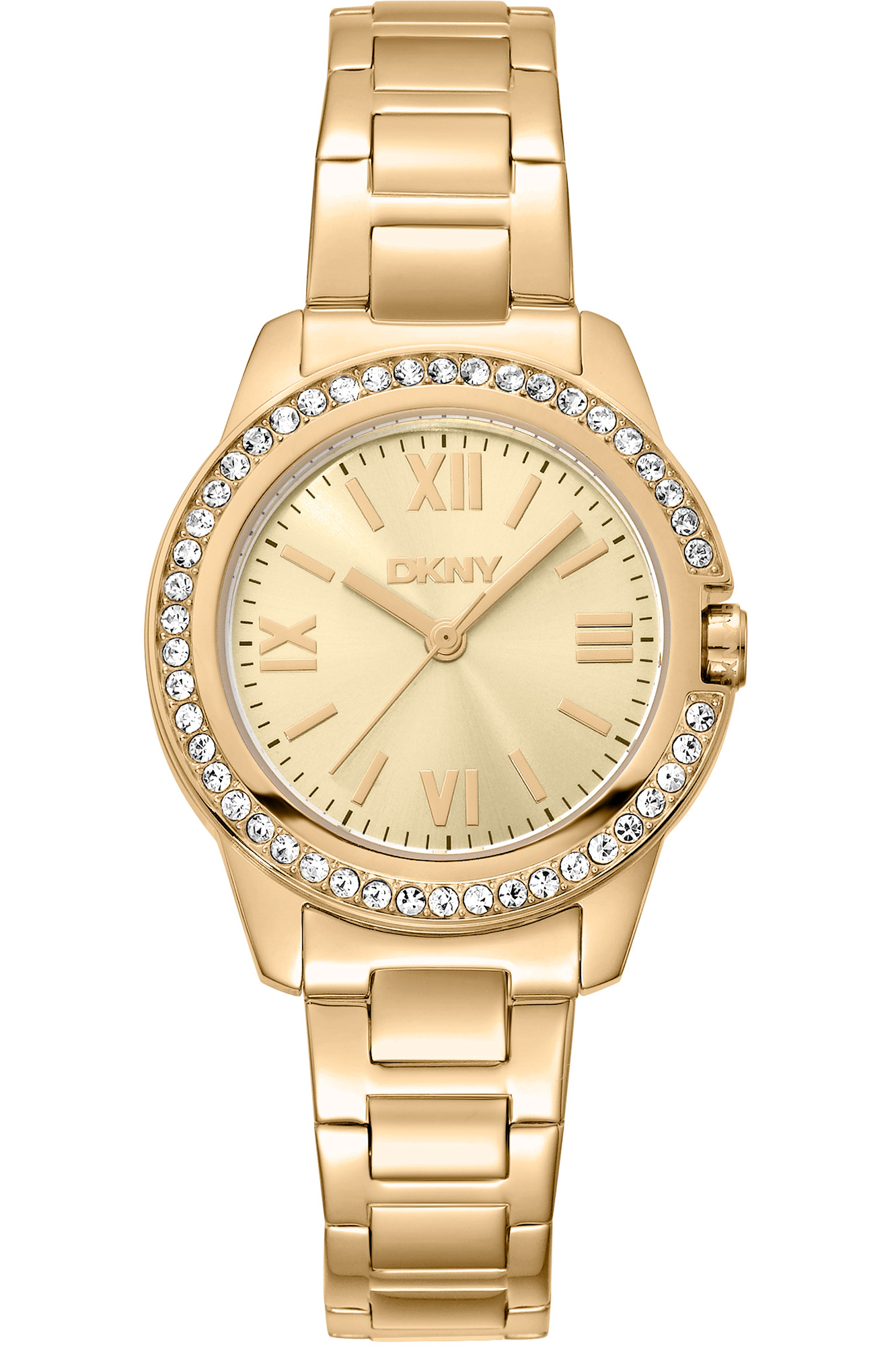 Watch DKNY dk1l105m0055