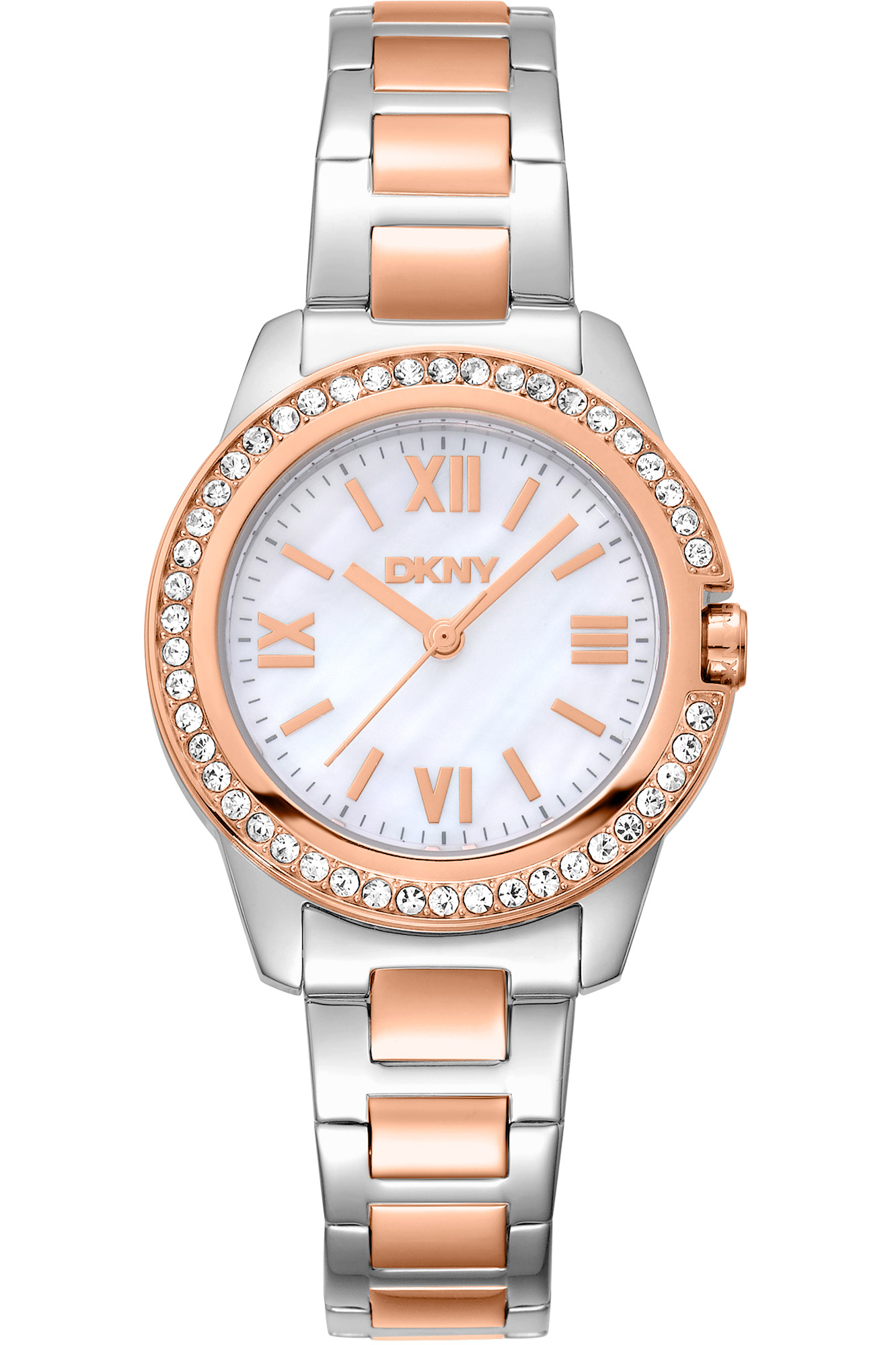Watch DKNY dk1l105m0105