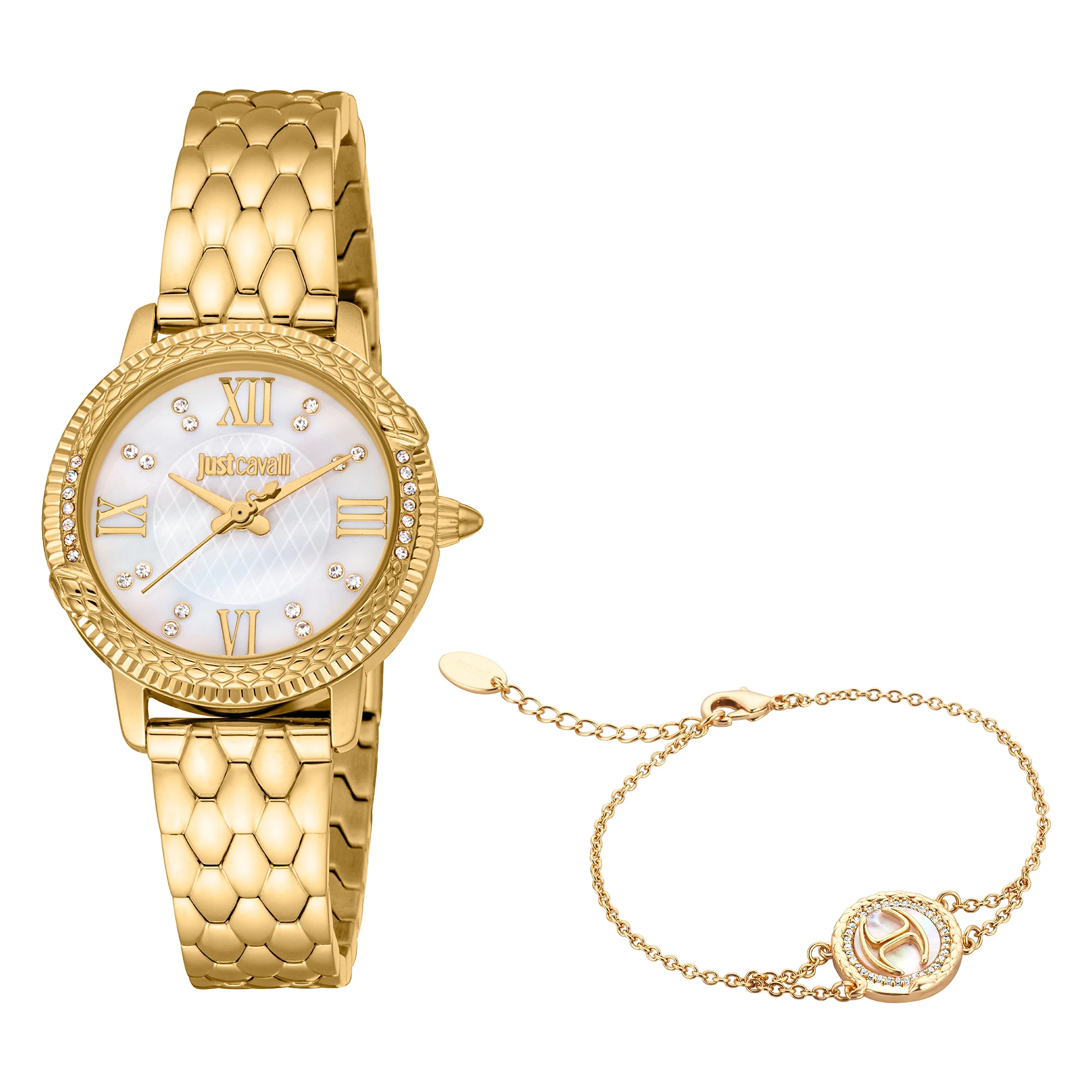 Watch Just Cavalli Lady jc1l276m0055