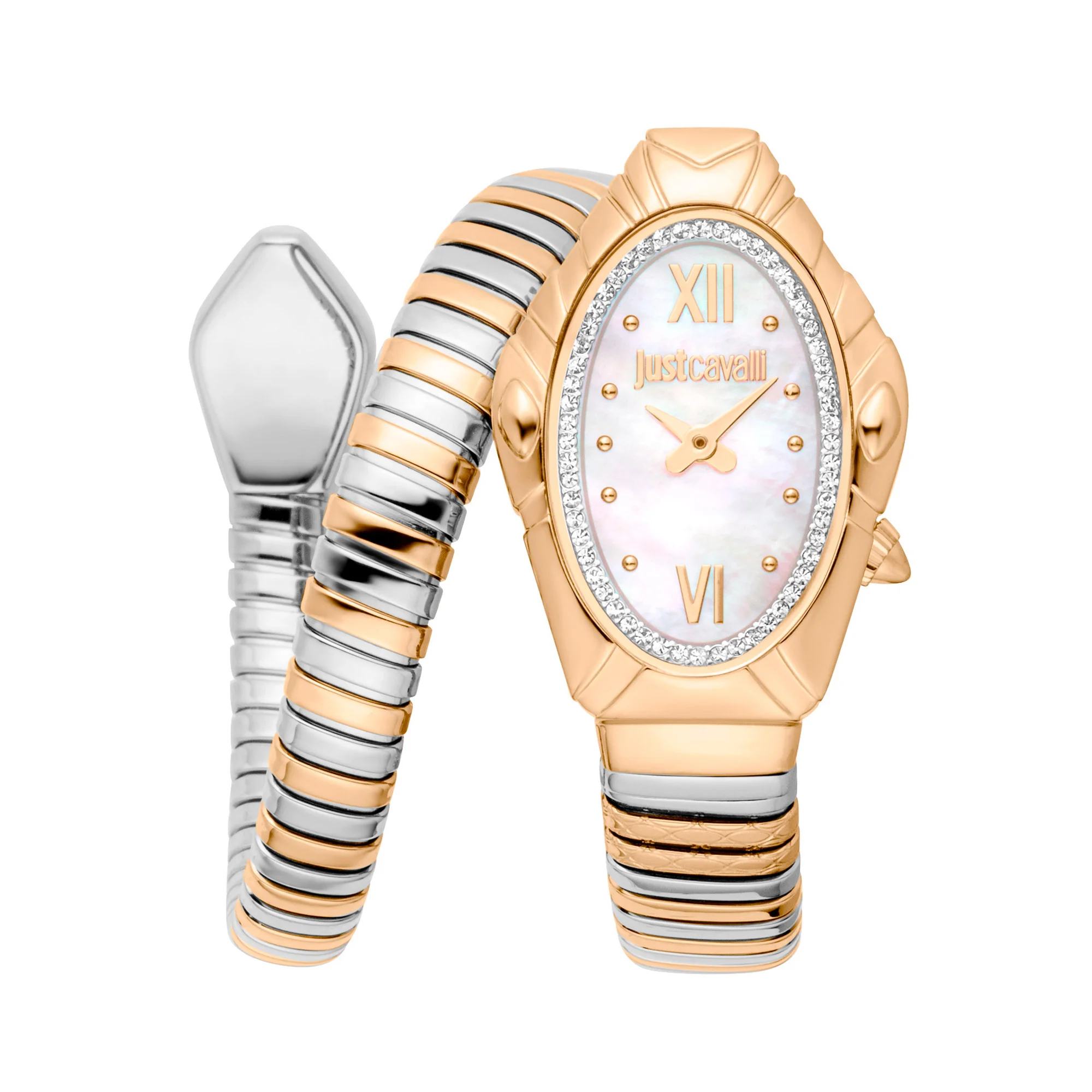 Watch Just Cavalli Lady Snake jc1l357m0055