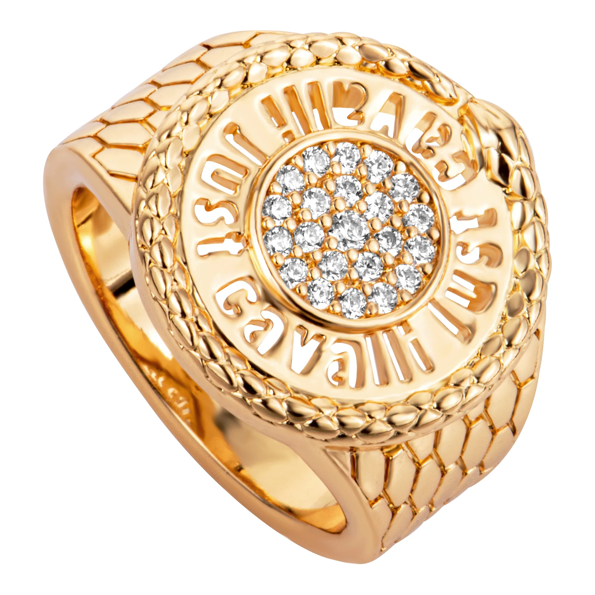 Watch Just Cavalli Jewels jcrg01333206