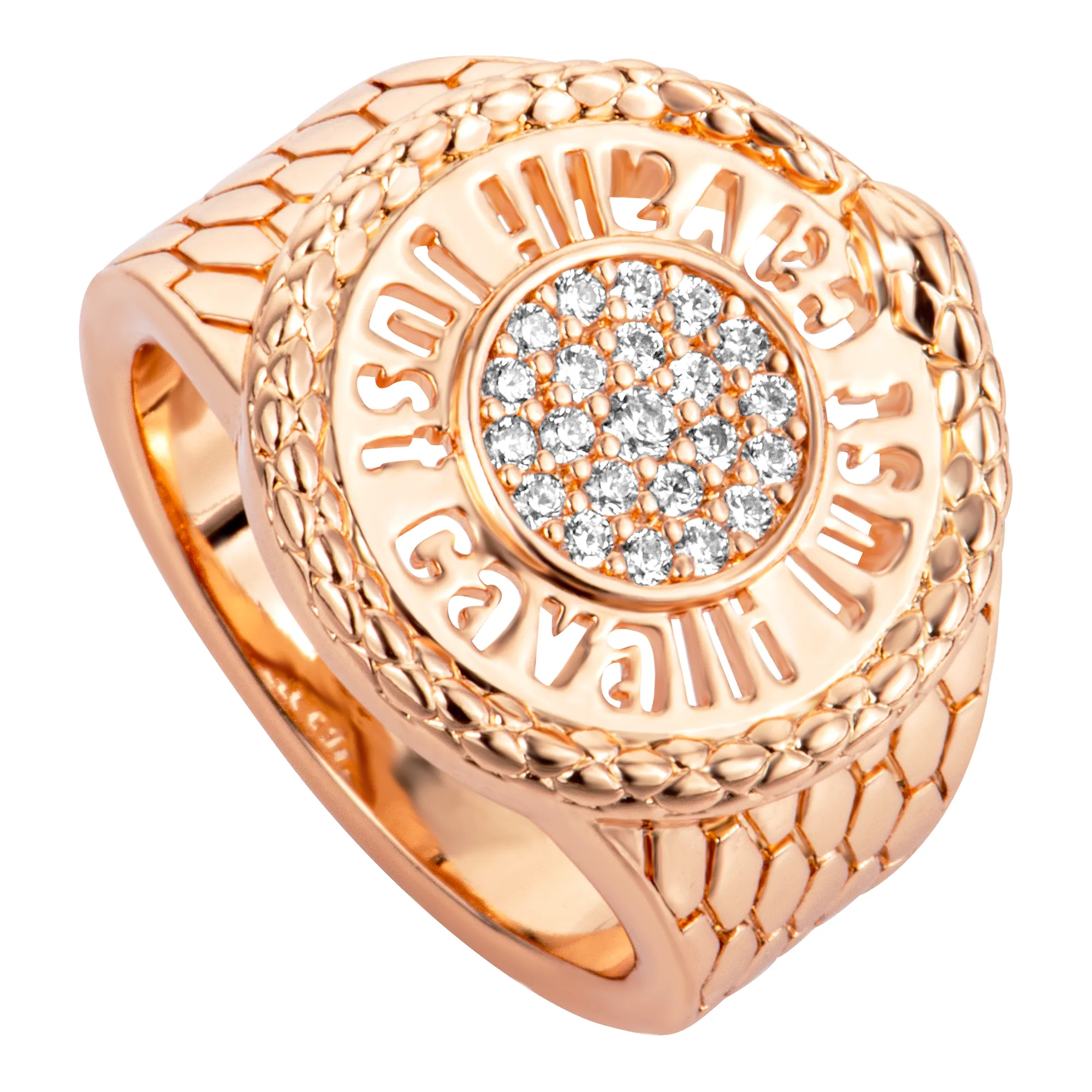 Watch Just Cavalli Jewels jcrg01333307