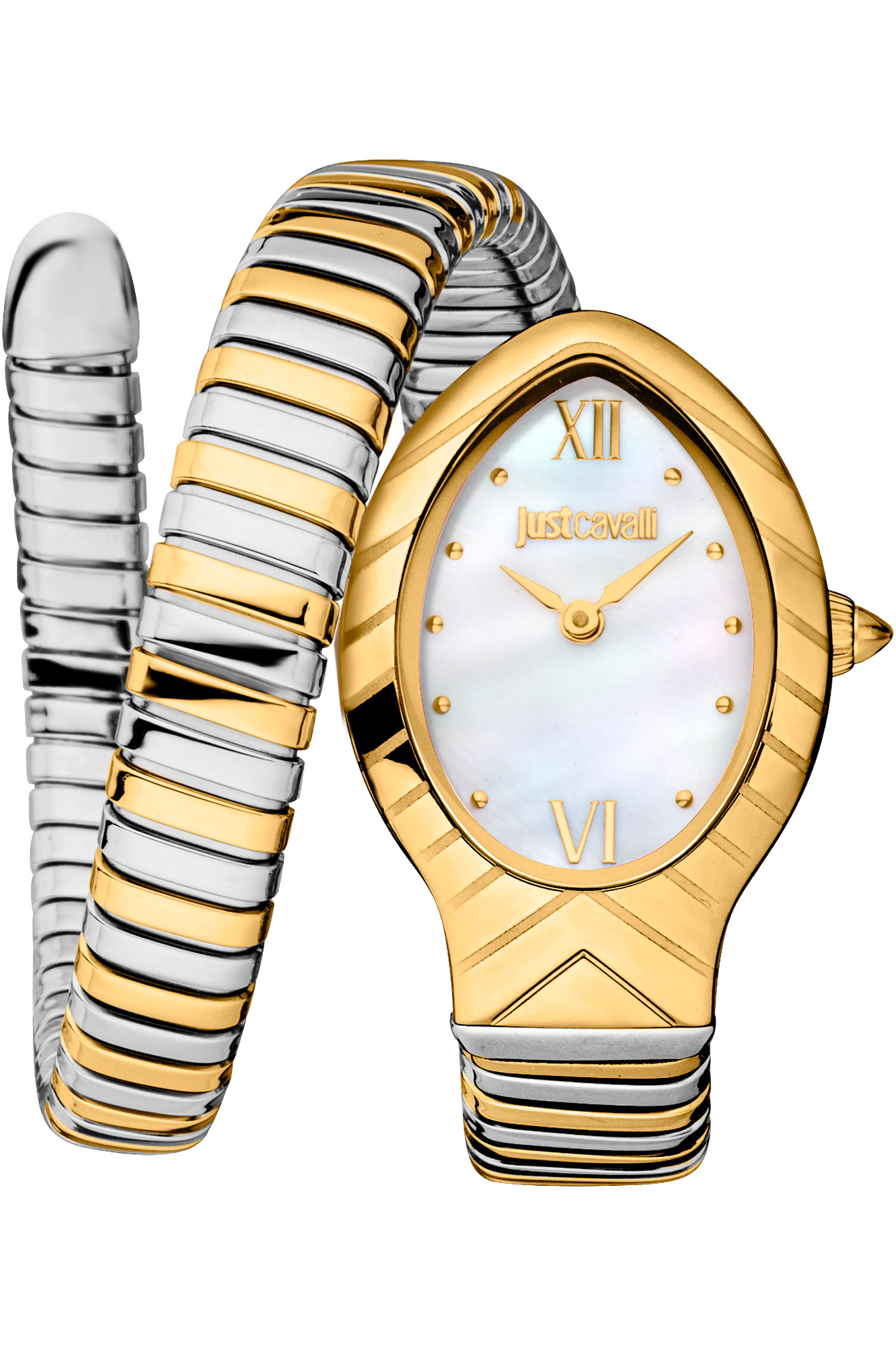 Reloj Just Cavalli Lady Snake jc1l247m0055