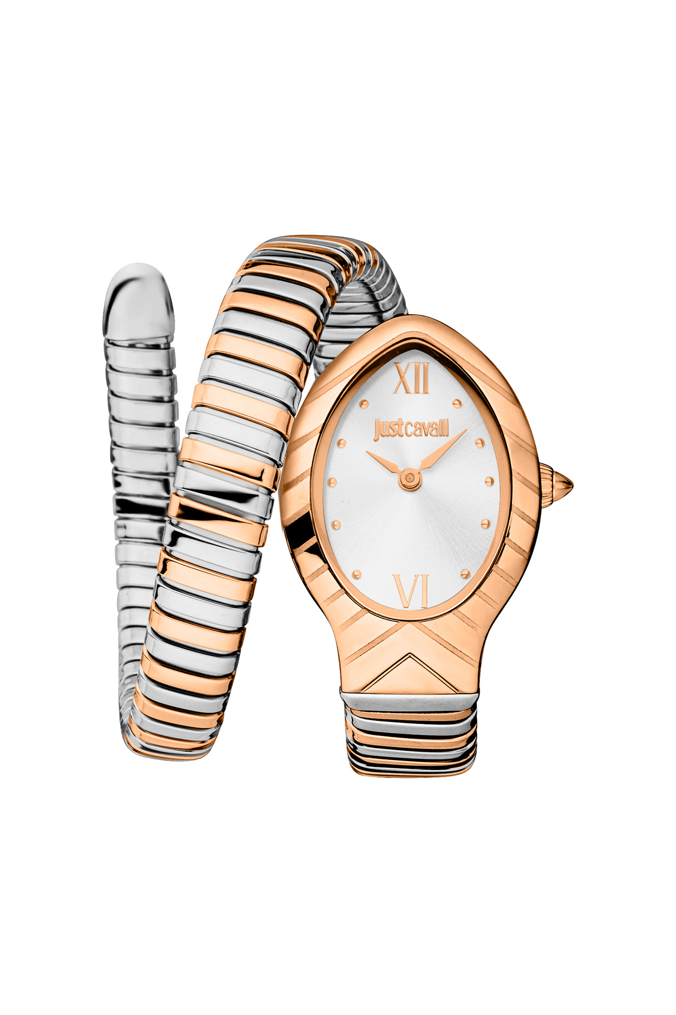 Watch Just Cavalli Lady Snake jc1l247m0065