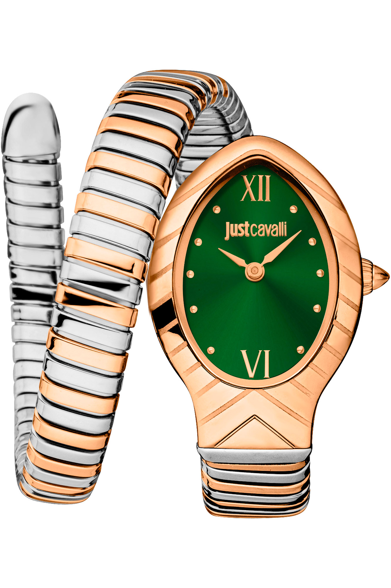 Orologio Just Cavalli Lady Snake jc1l247m0075