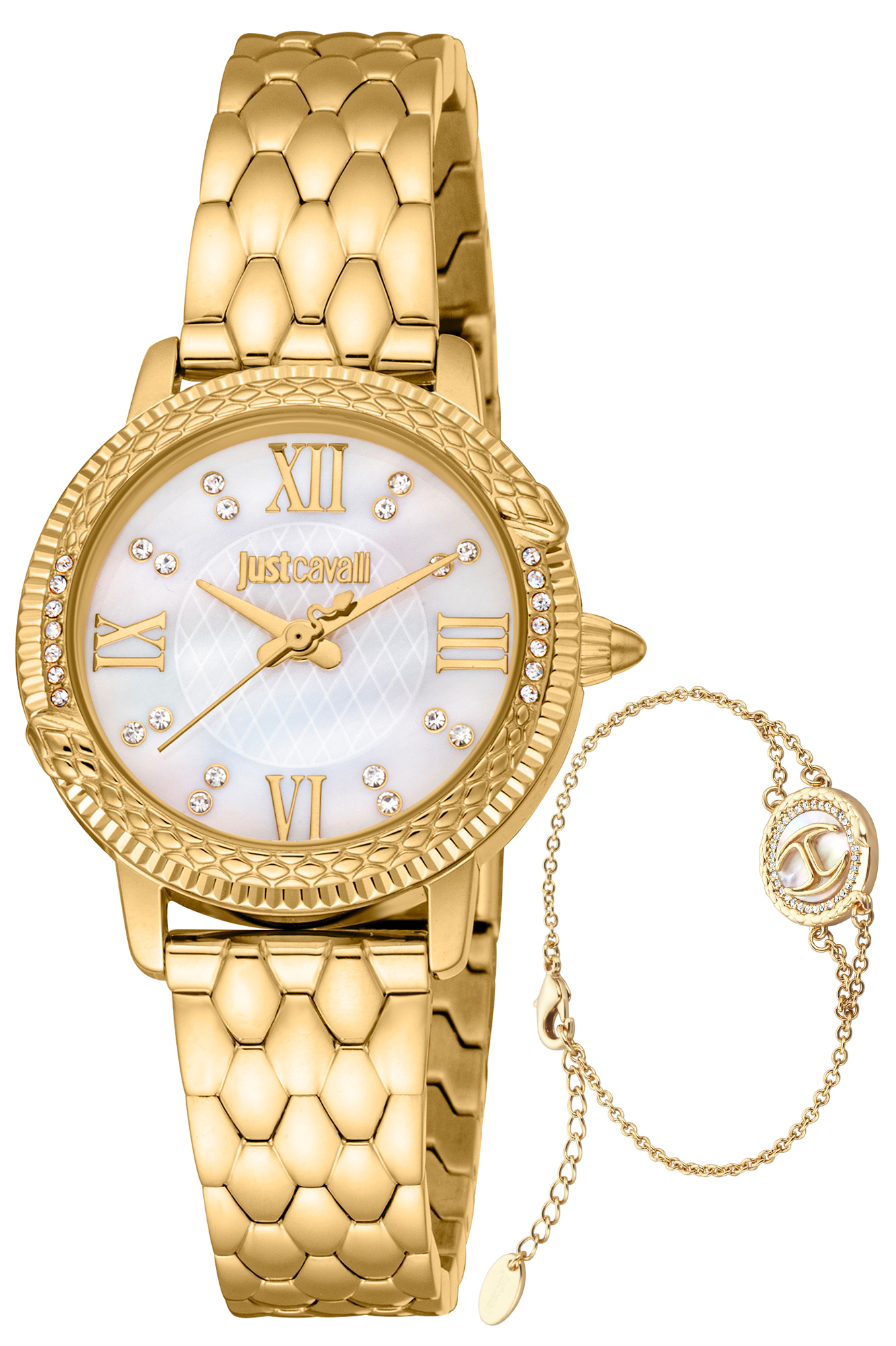 Watch Just Cavalli Lady jc1l276m0055