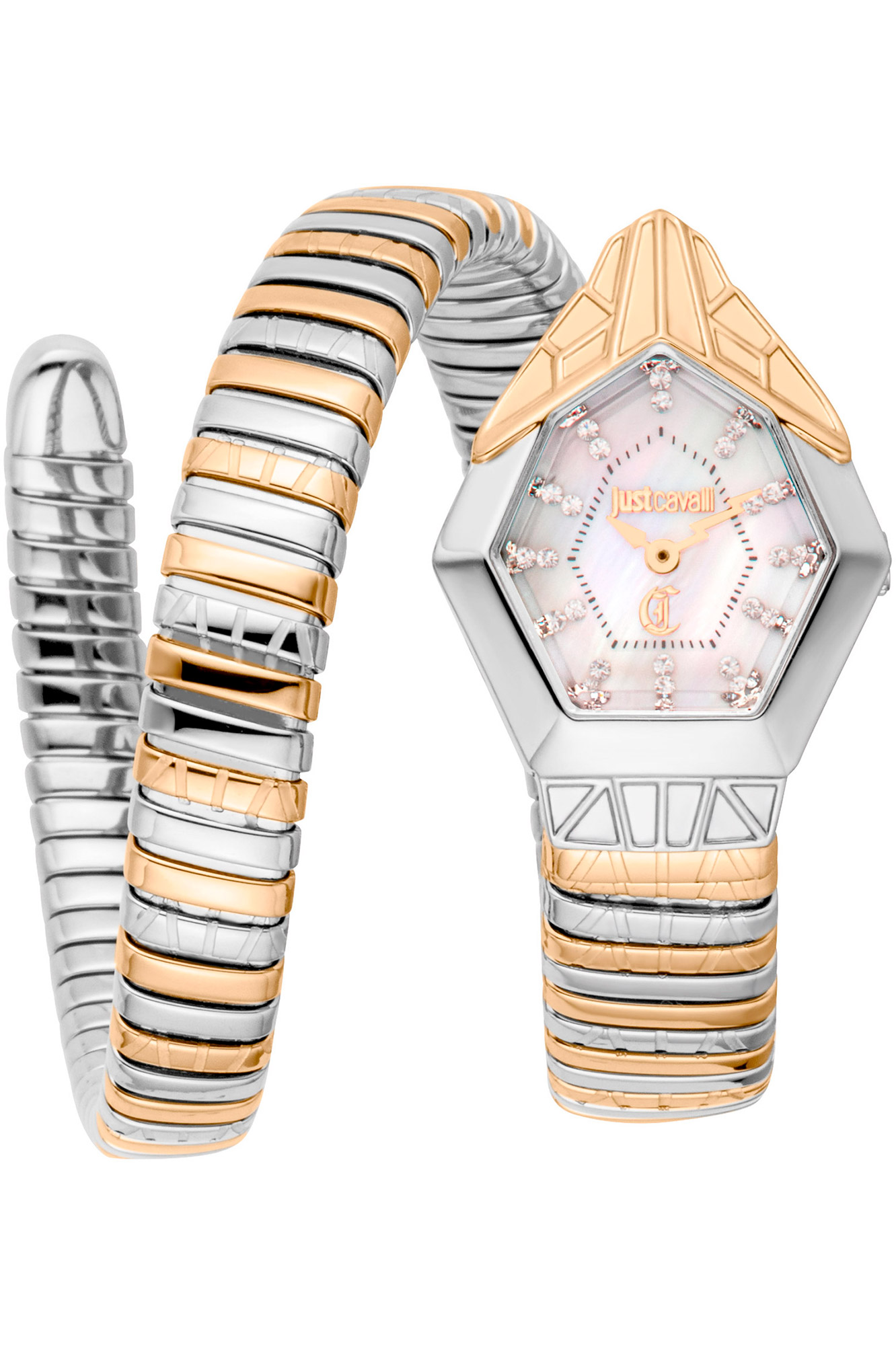 Watch Just Cavalli Lady Snake jc1l358m0065