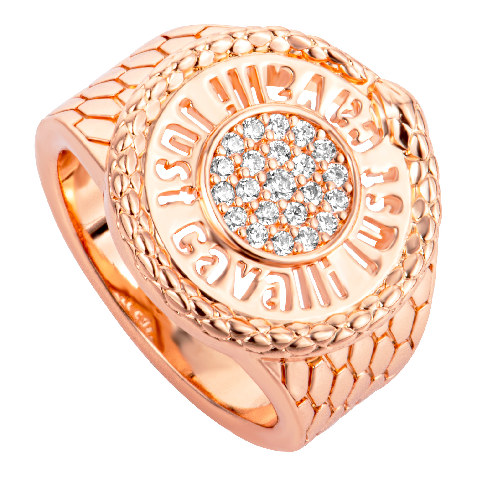 Watch Just Cavalli Jewels jcrg01333307