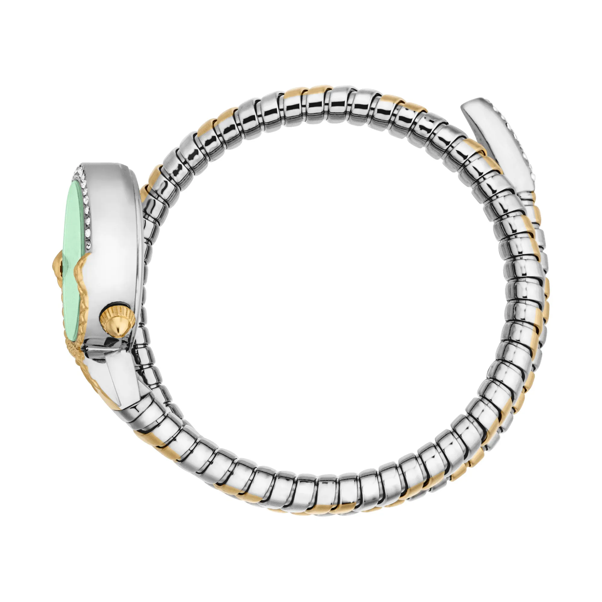 Just Cavalli JC1L350M0065 - foto
