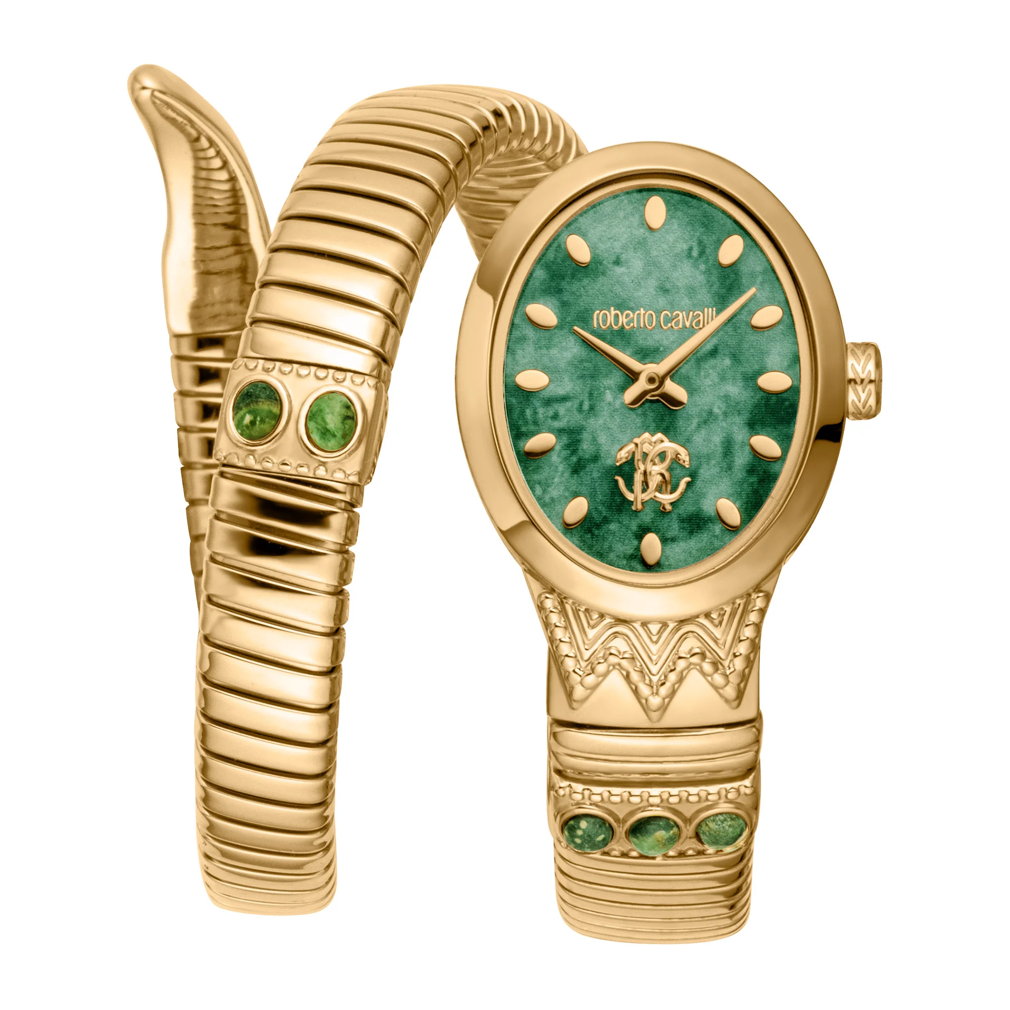 Watch Roberto Cavalli rc5l104m0025