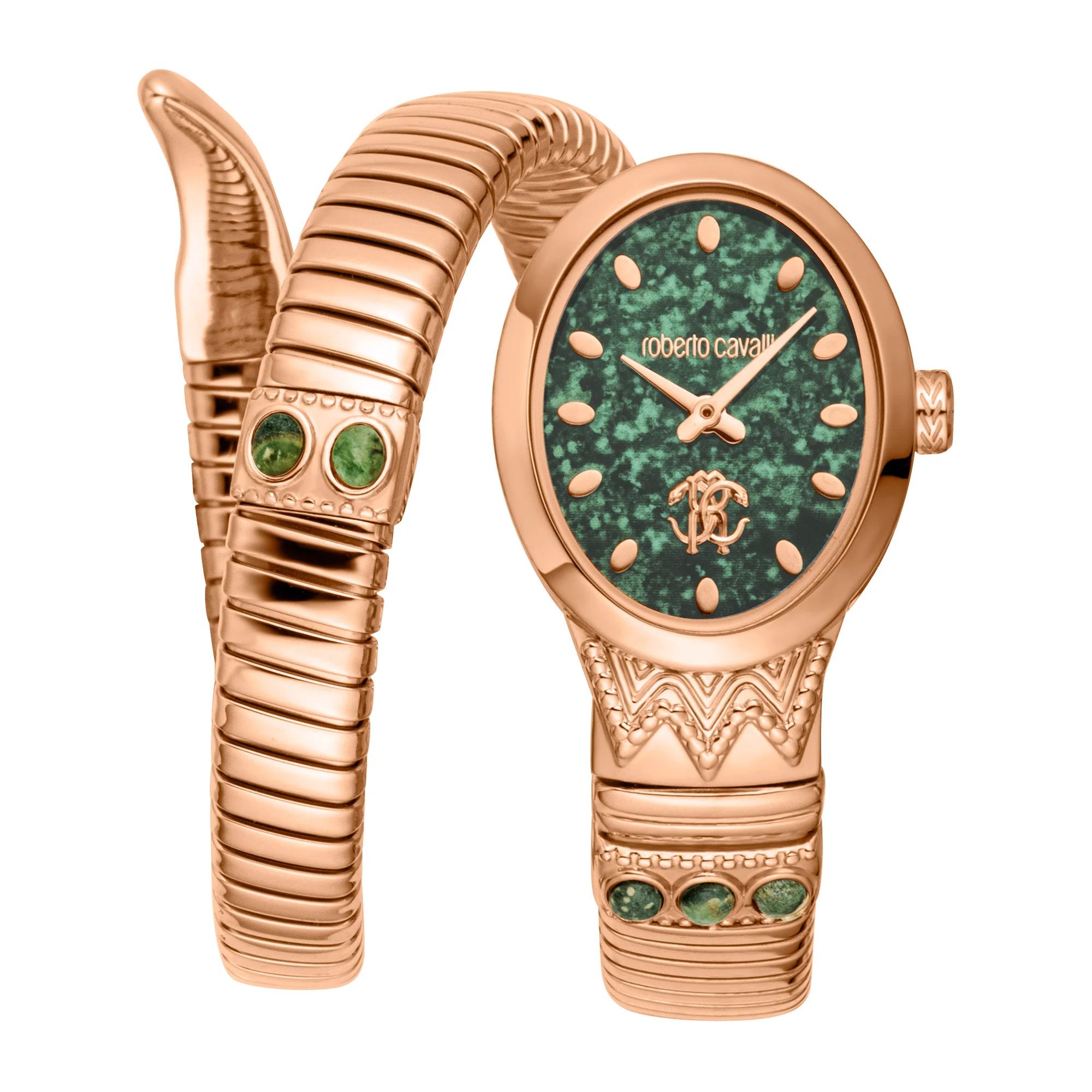 Watch Roberto Cavalli rc5l104m0045
