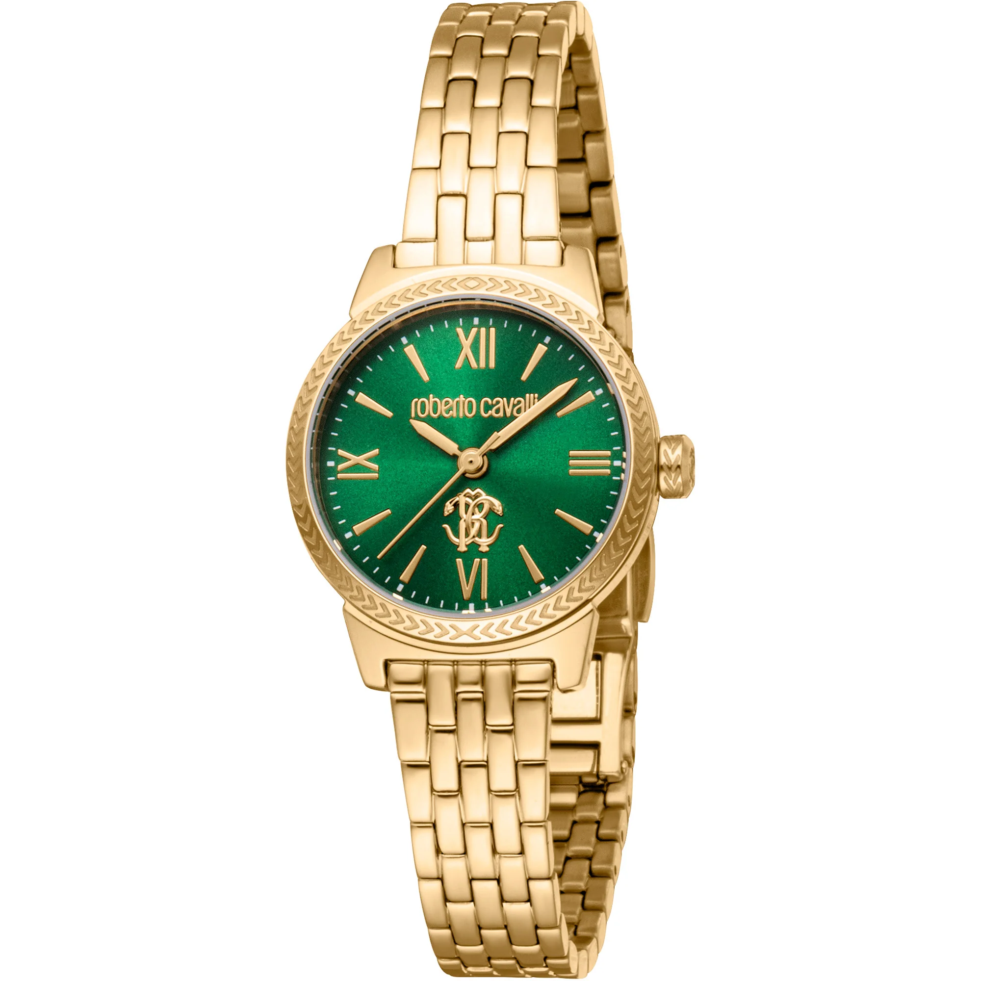 Watch Roberto Cavalli rc5l107m0055