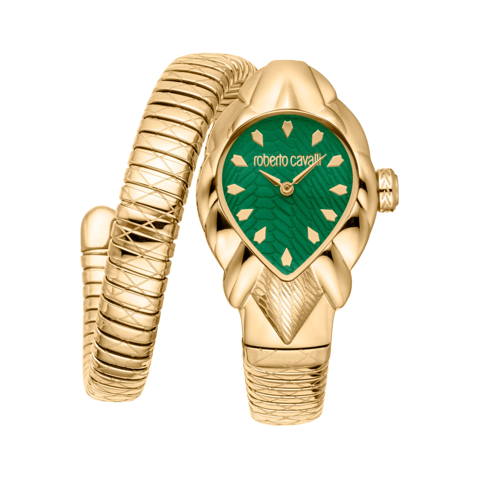 Watch Roberto Cavalli rc5l110m0045