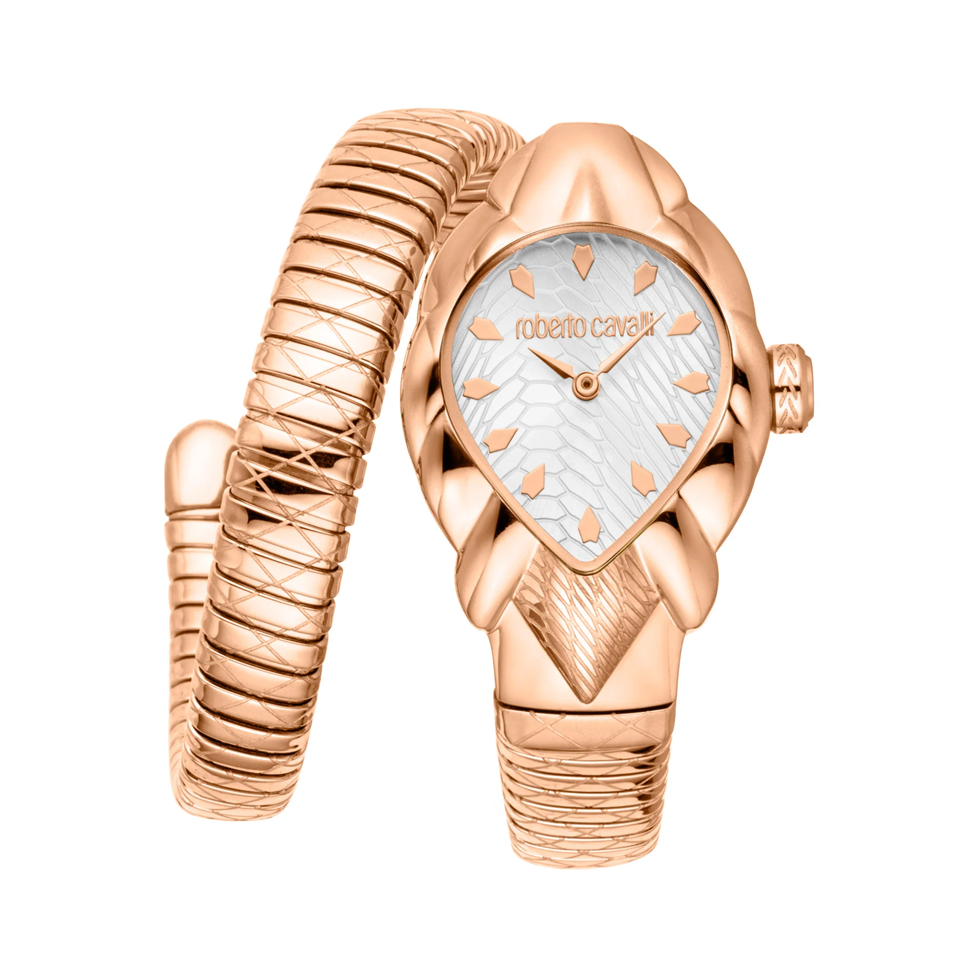 Watch Roberto Cavalli rc5l110m0055