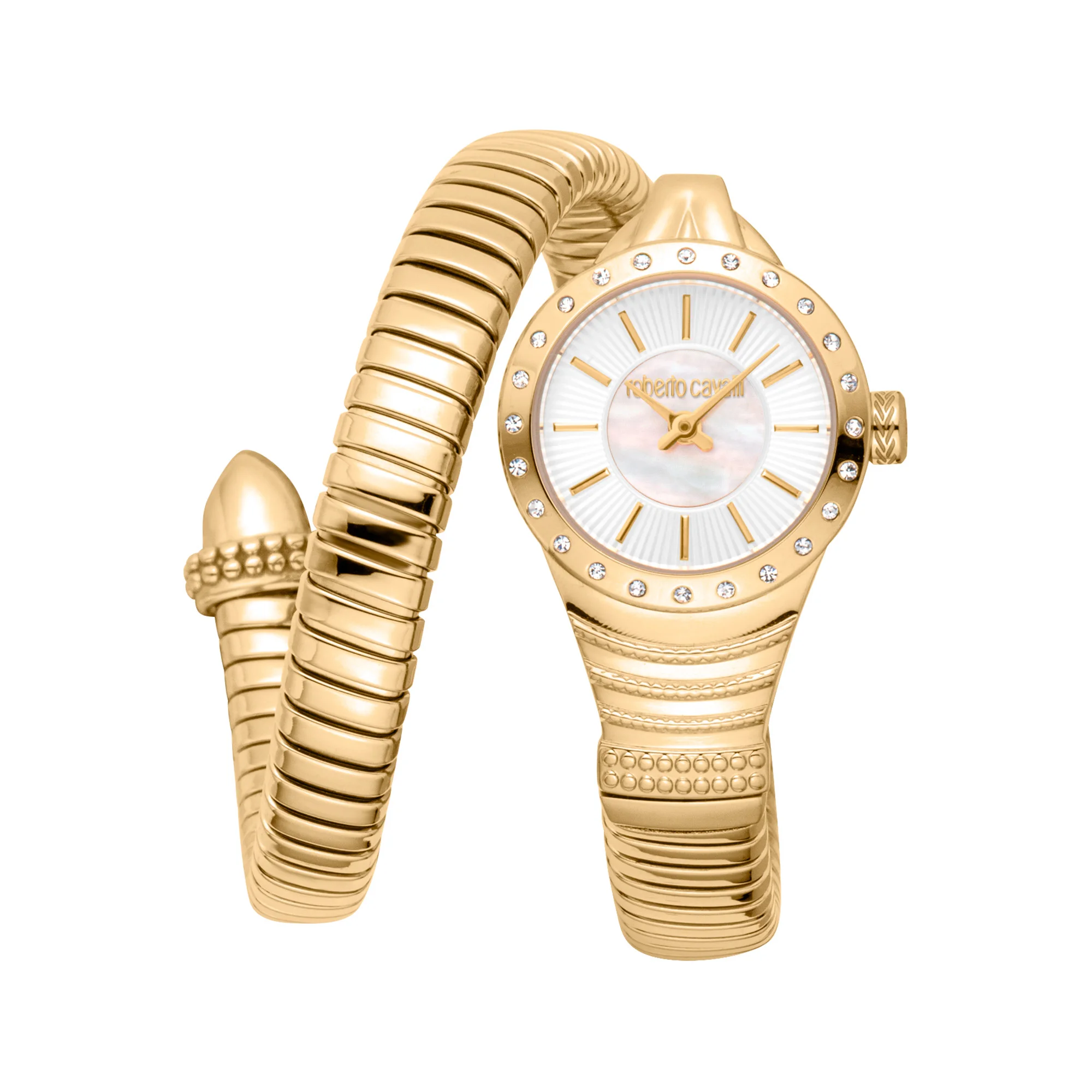Watch Roberto Cavalli rc5l114m0025