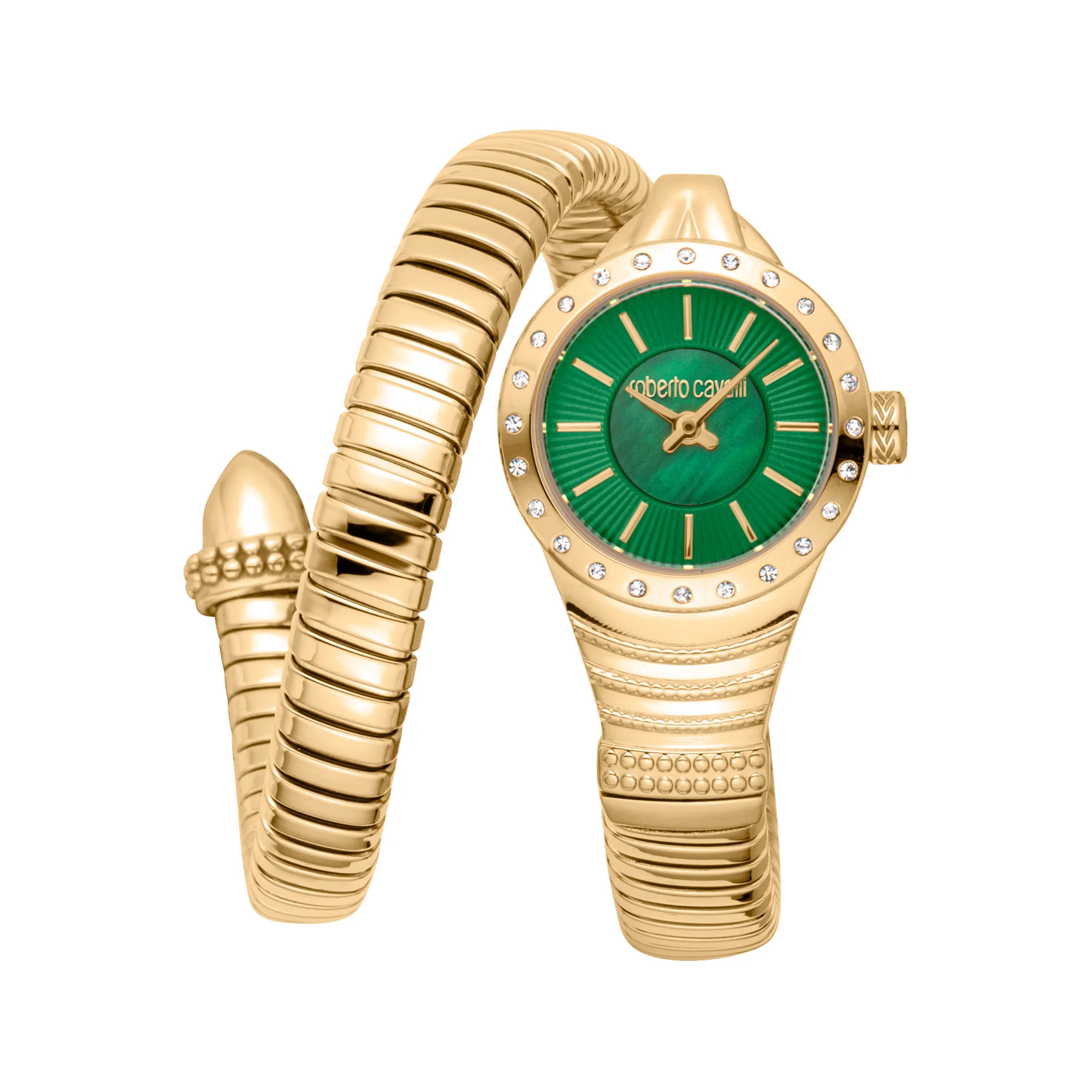 Watch Roberto Cavalli rc5l114m0035