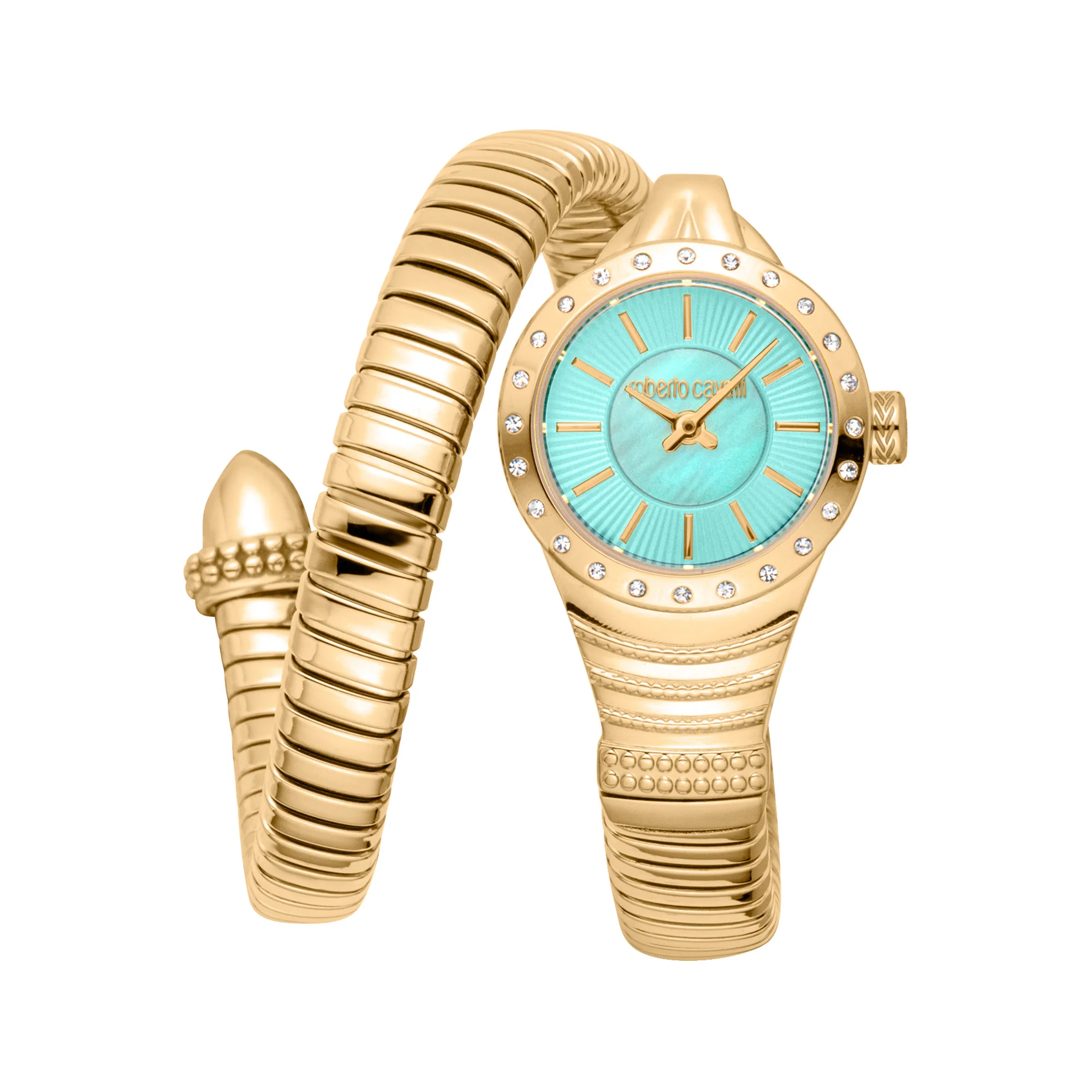 Watch Roberto Cavalli rc5l114m0045