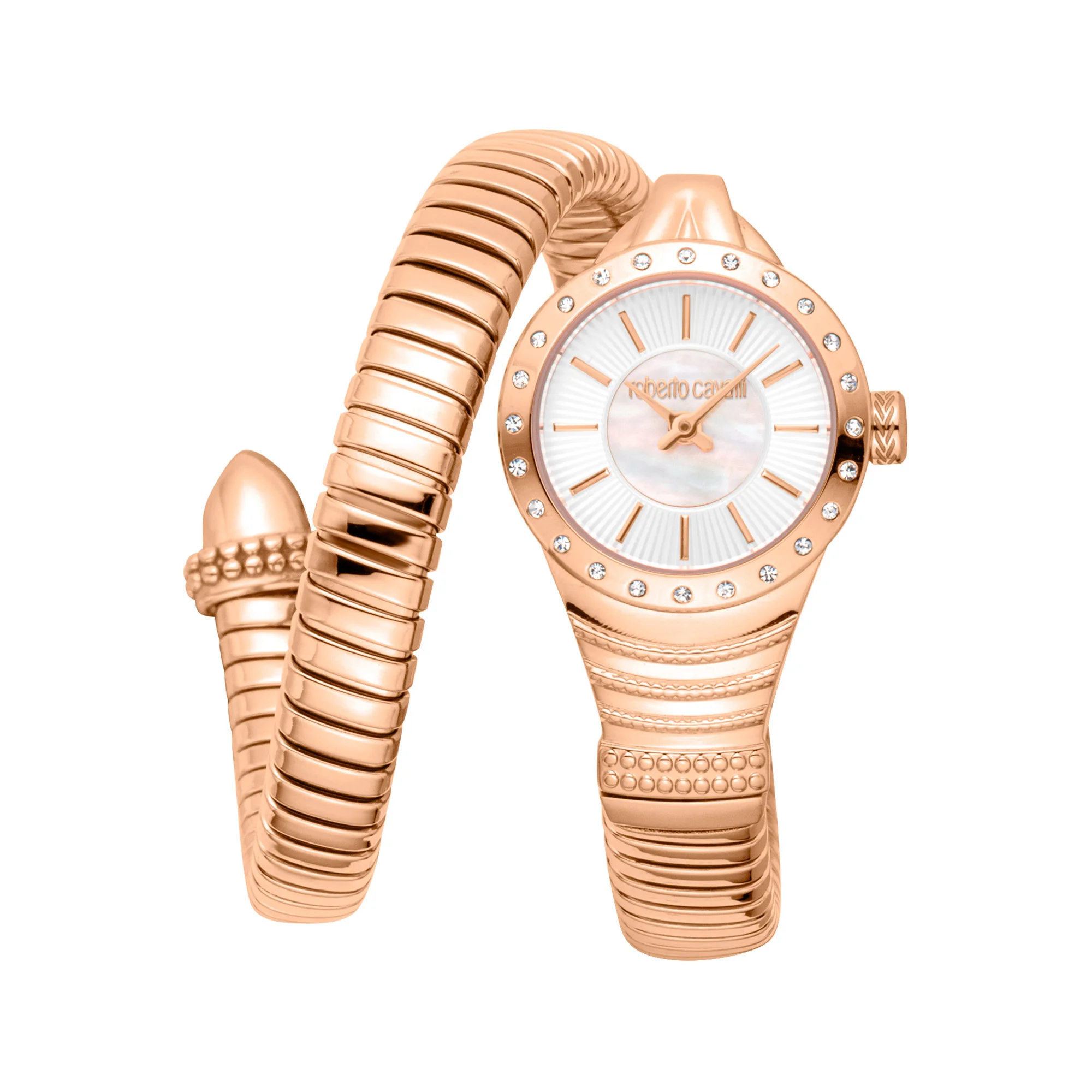 Watch Roberto Cavalli rc5l114m0055