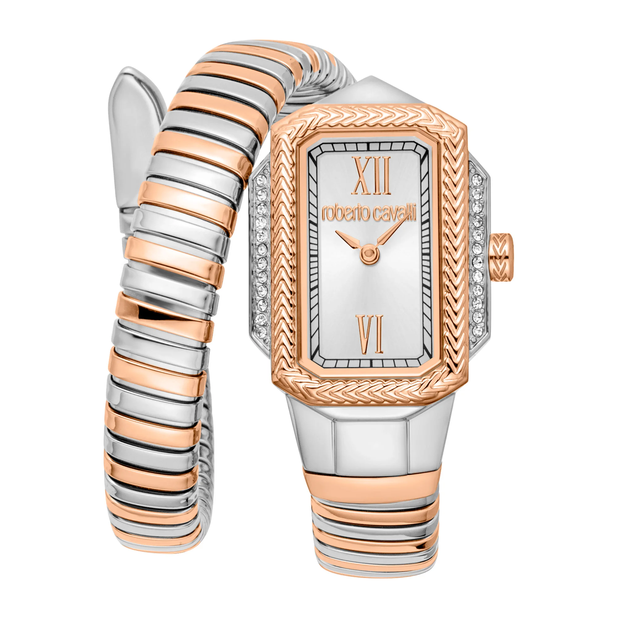 Watch Roberto Cavalli rc5l115m0075